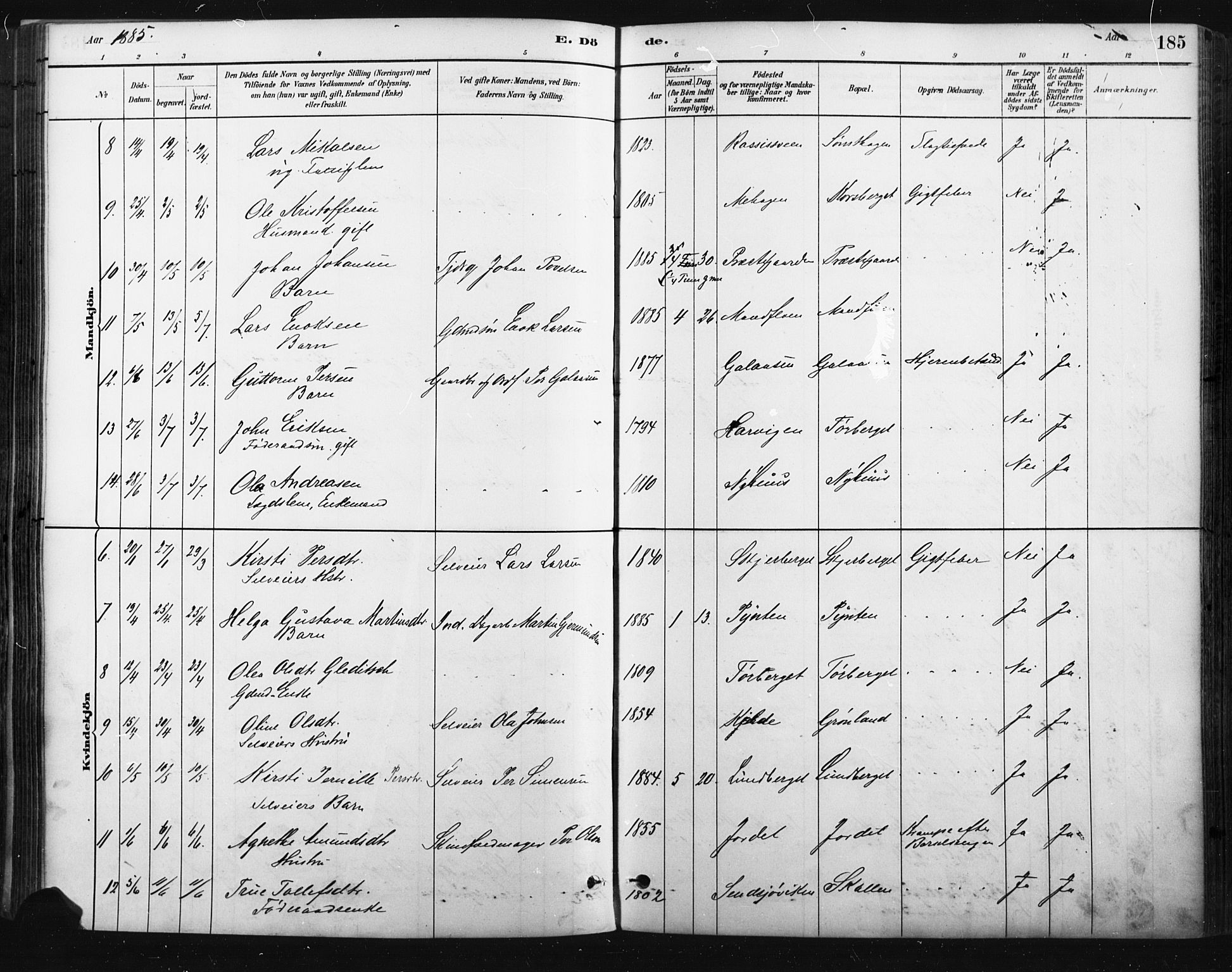 Trysil prestekontor, AV/SAH-PREST-046/H/Ha/Haa/L0009: Ministerialbok nr. 9, 1881-1897, s. 185