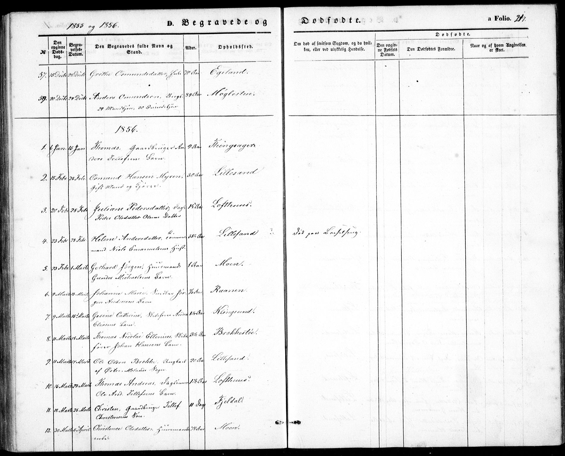 Vestre Moland sokneprestkontor, SAK/1111-0046/F/Fb/Fbb/L0003: Klokkerbok nr. B 3, 1851-1861, s. 217