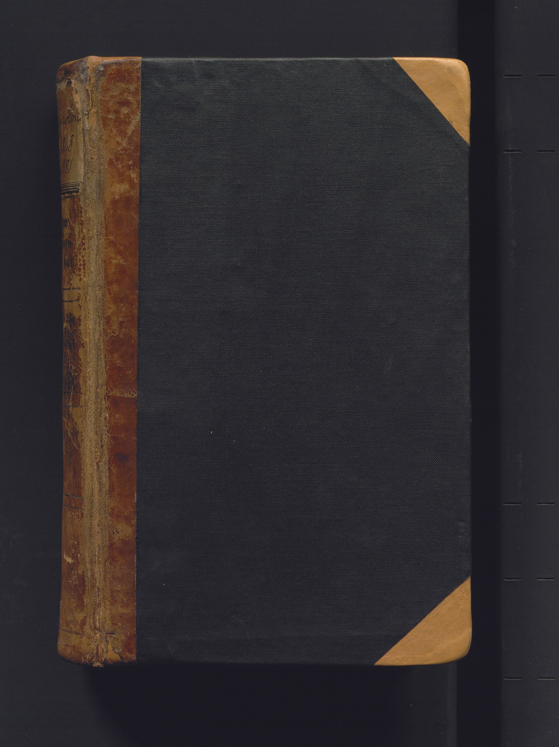 Bergen Magistrat, BBA/A-0651/A/Ac/L0006: Bergens Raadstue Protocol., 1868-1881