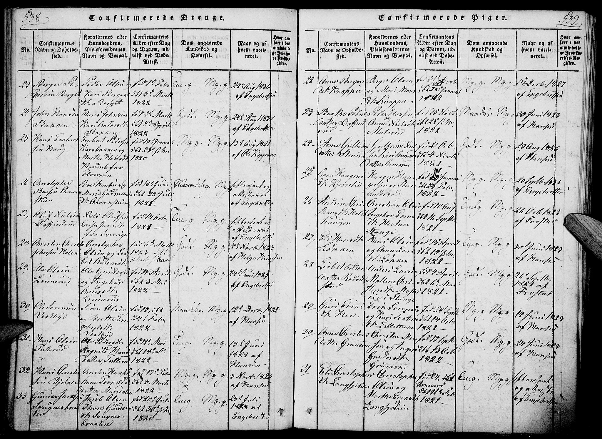 Nord-Odal prestekontor, AV/SAH-PREST-032/H/Ha/Haa/L0001: Ministerialbok nr. 1, 1819-1838, s. 538-539