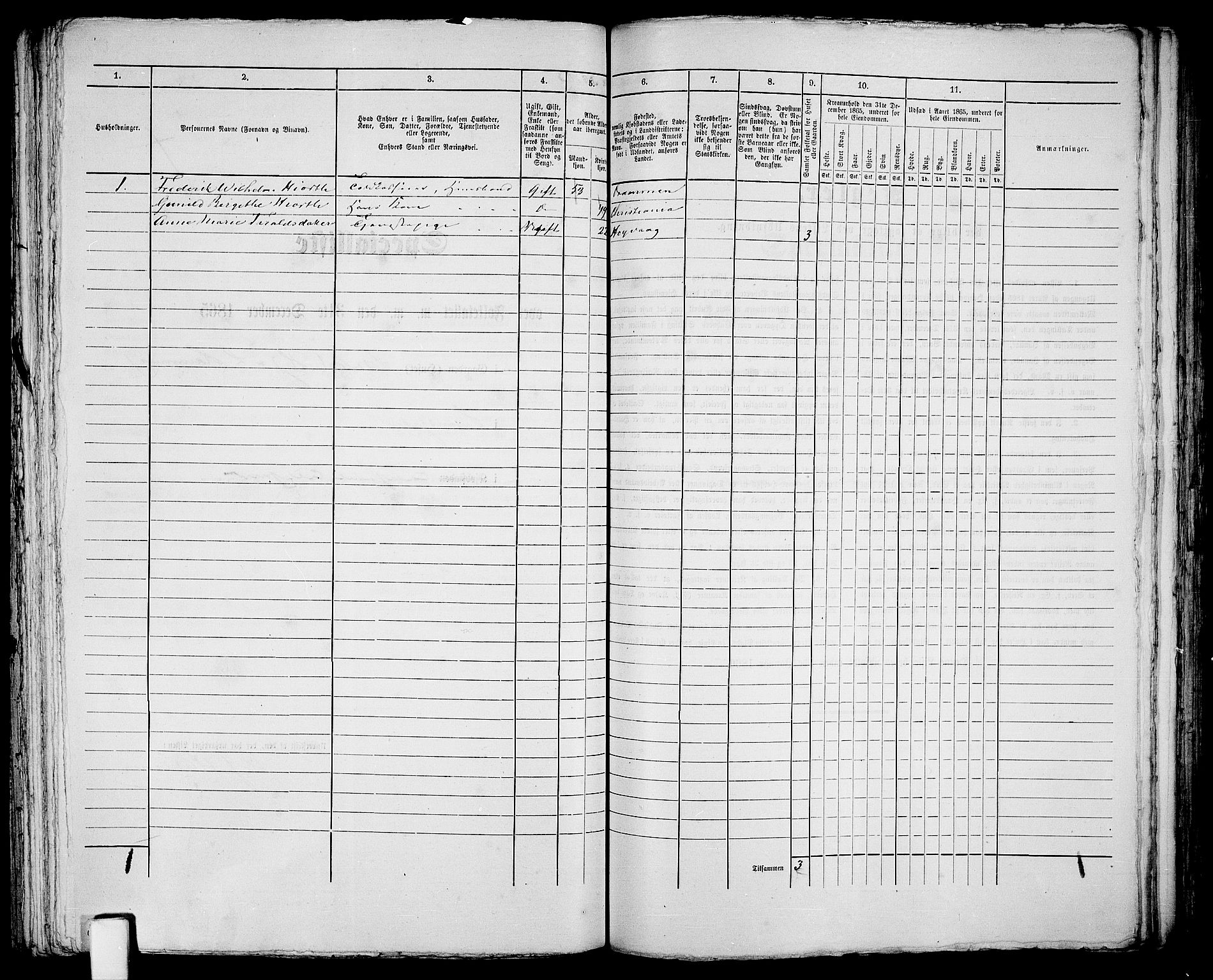 RA, Folketelling 1865 for 0905B Vestre Moland prestegjeld, Lillesand ladested, 1865, s. 216