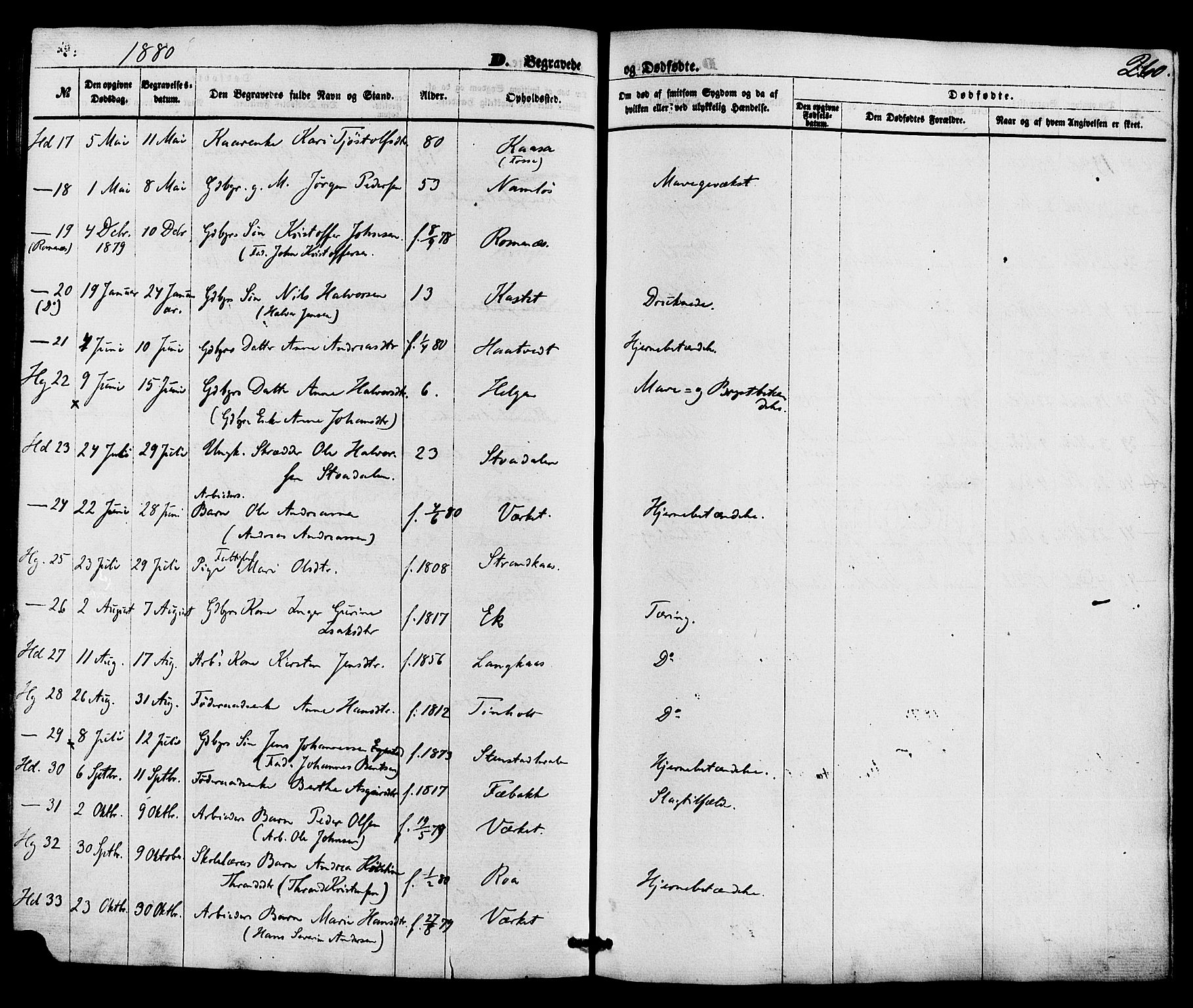 Holla kirkebøker, AV/SAKO-A-272/F/Fa/L0007: Ministerialbok nr. 7, 1869-1881, s. 260
