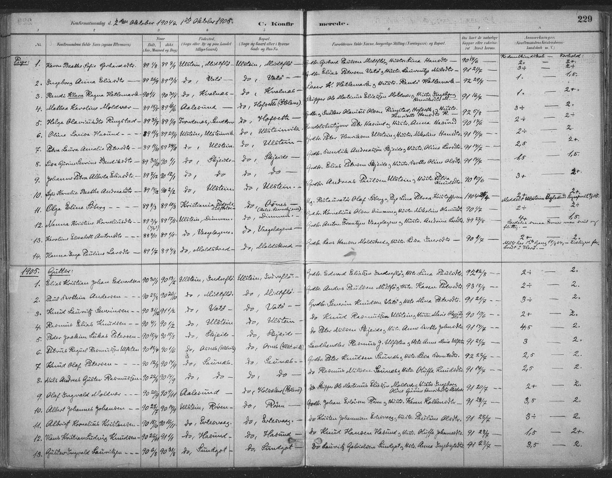 Ministerialprotokoller, klokkerbøker og fødselsregistre - Møre og Romsdal, AV/SAT-A-1454/509/L0106: Ministerialbok nr. 509A04, 1883-1922, s. 229