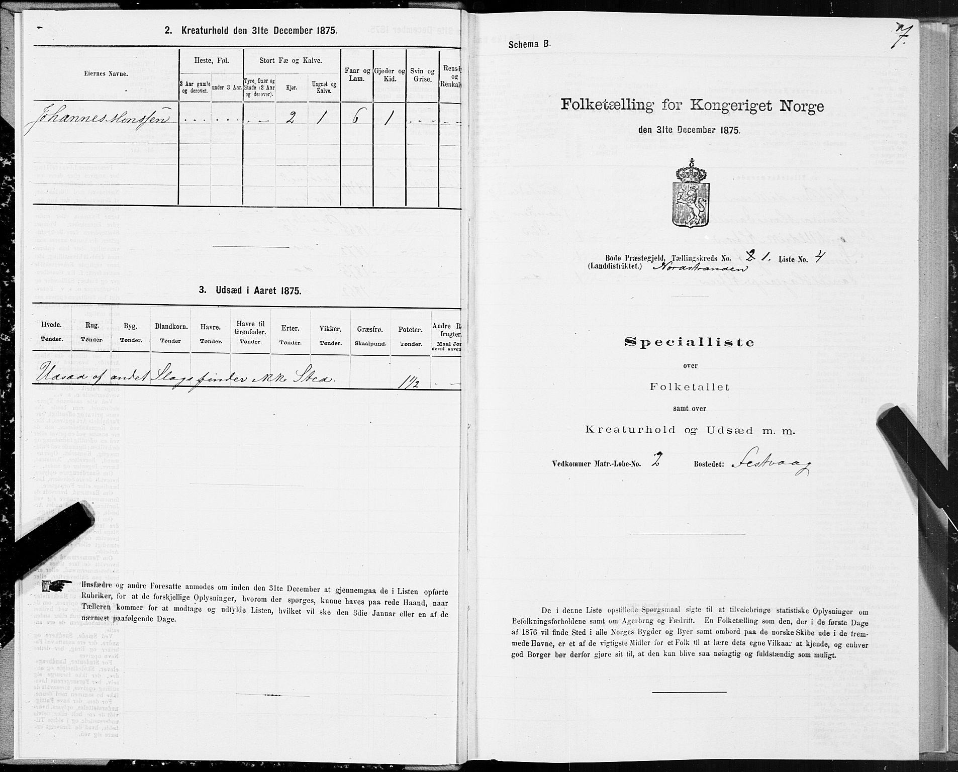 SAT, Folketelling 1875 for 1843L Bodø prestegjeld, Bodø landsokn, 1875, s. 1007