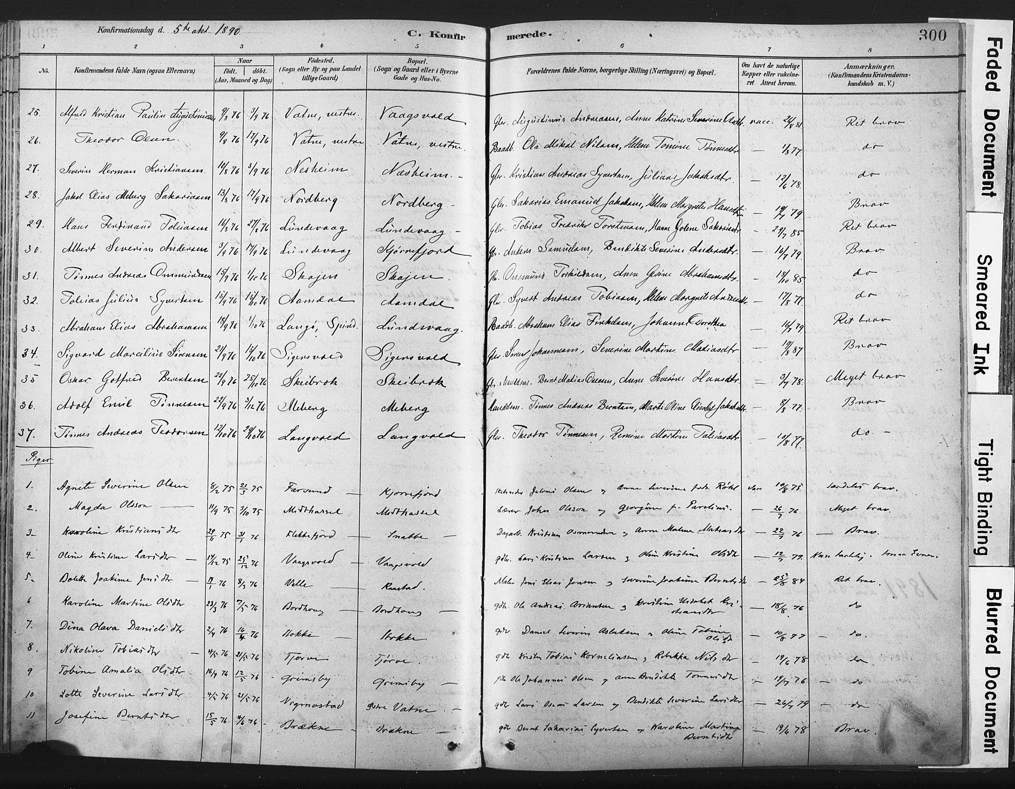 Lista sokneprestkontor, SAK/1111-0027/F/Fa/L0012: Ministerialbok nr. A 12, 1879-1903, s. 300