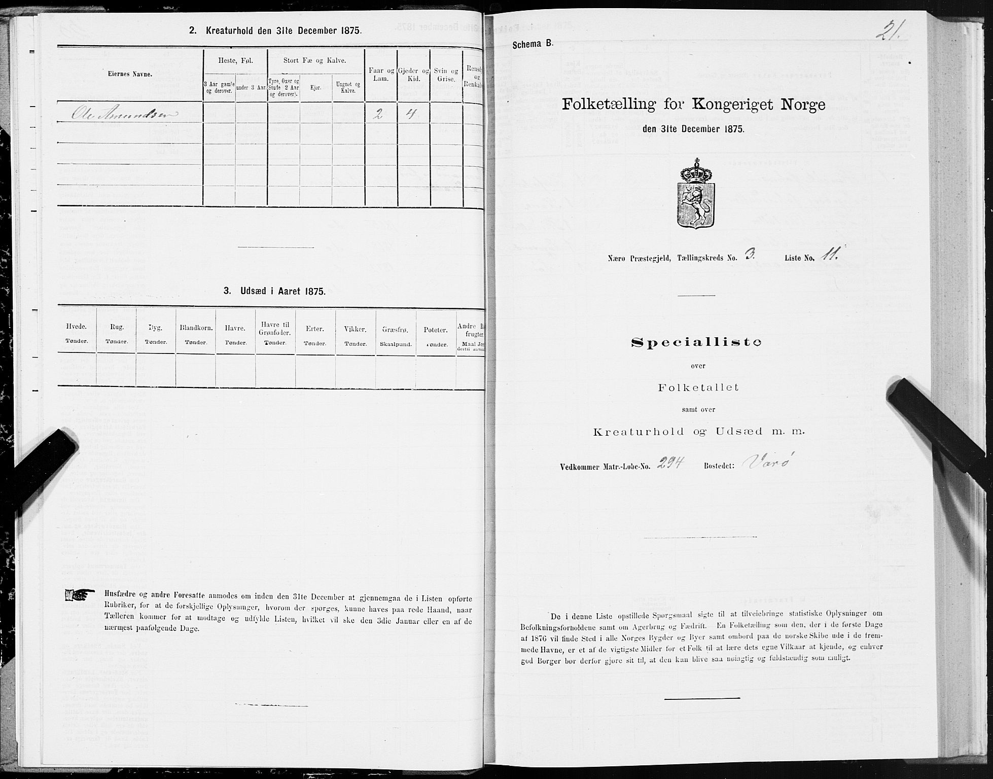 SAT, Folketelling 1875 for 1751P Nærøy prestegjeld, 1875, s. 2021