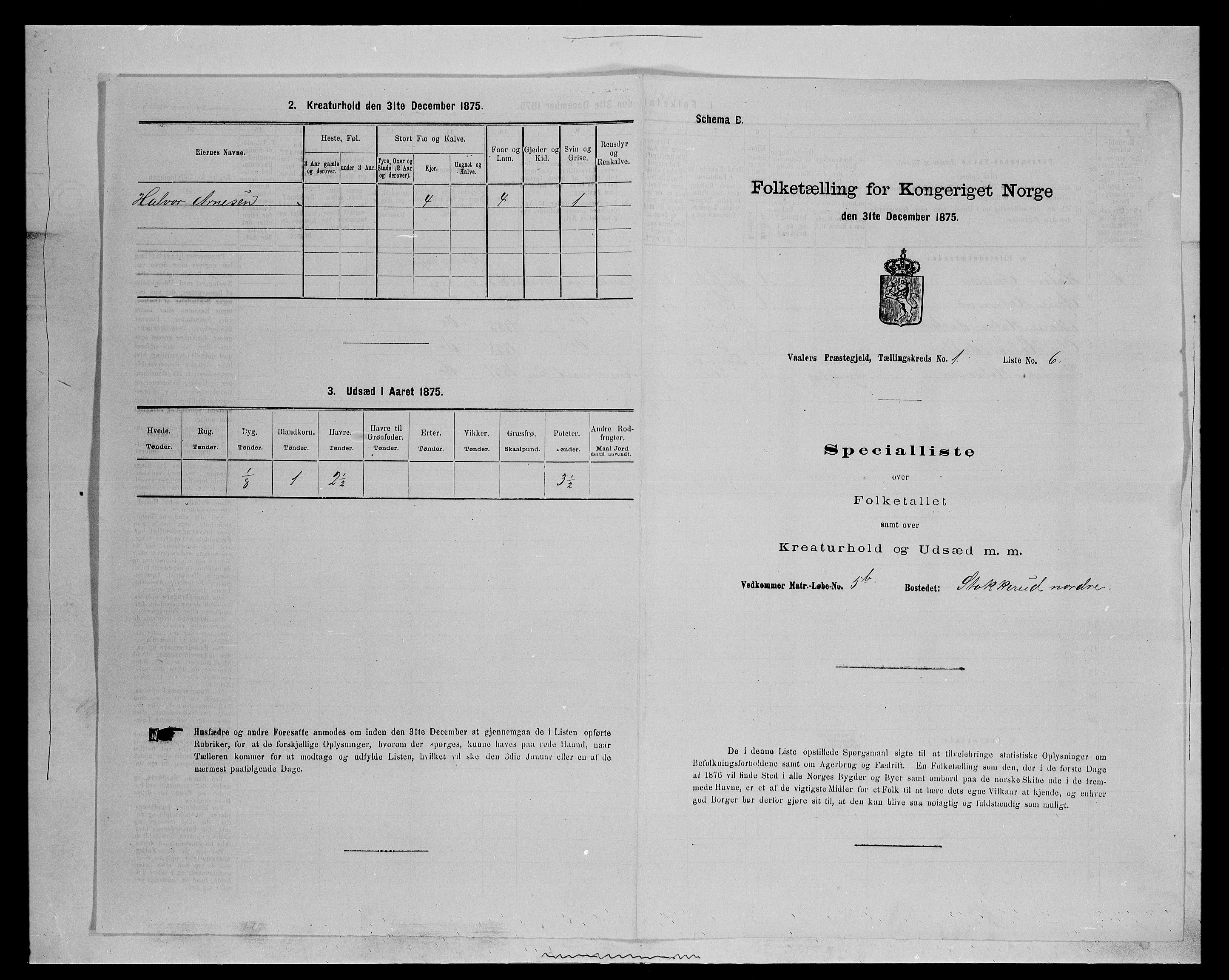 SAH, Folketelling 1875 for 0426P Våler prestegjeld (Hedmark), 1875, s. 121