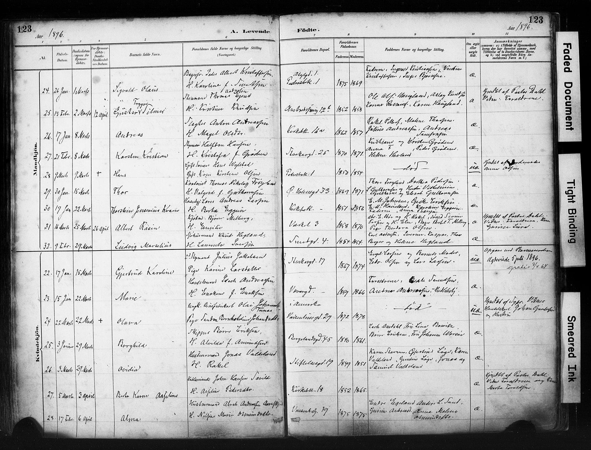 St. Petri sokneprestkontor, AV/SAST-A-101813/001/30/30BA/L0019: Ministerialbok nr. A 20, 1888-1901, s. 123