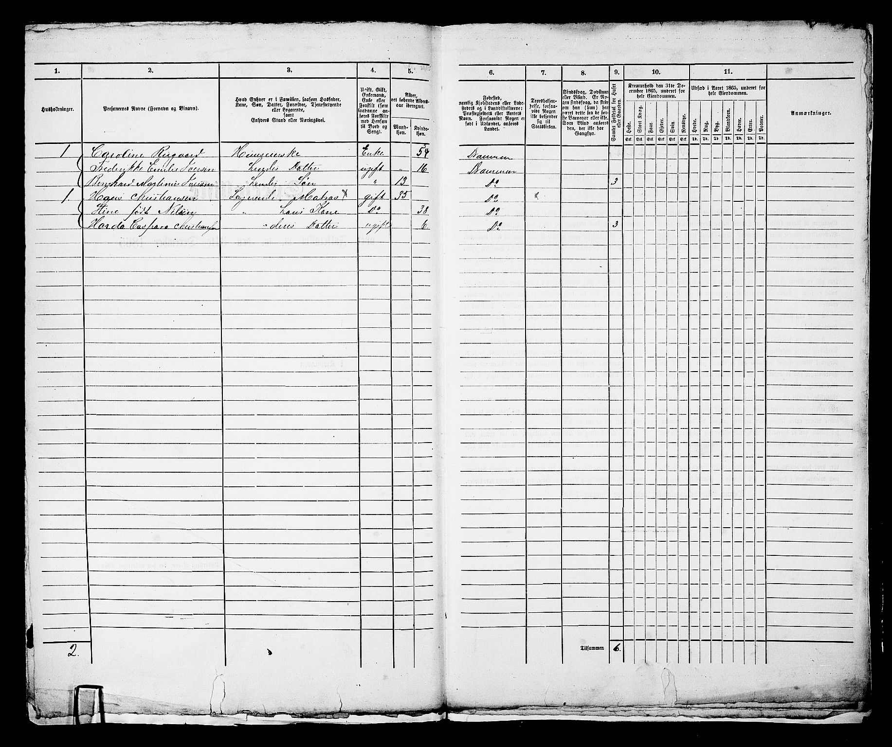 RA, Folketelling 1865 for 0602bP Strømsø prestegjeld i Drammen kjøpstad, 1865, s. 6