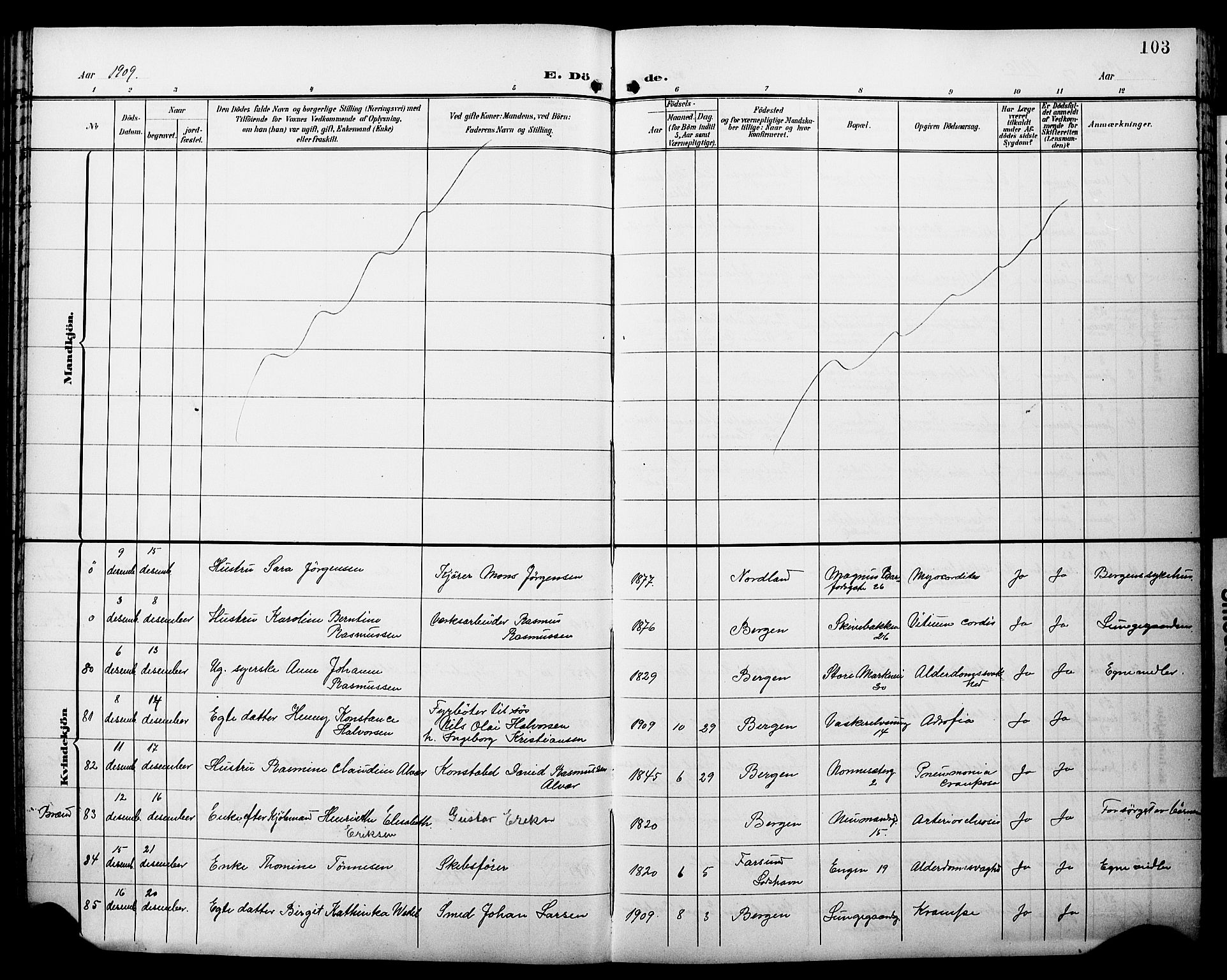 Domkirken sokneprestembete, AV/SAB-A-74801/H/Hab/L0042: Klokkerbok nr. E 6, 1900-1929, s. 103