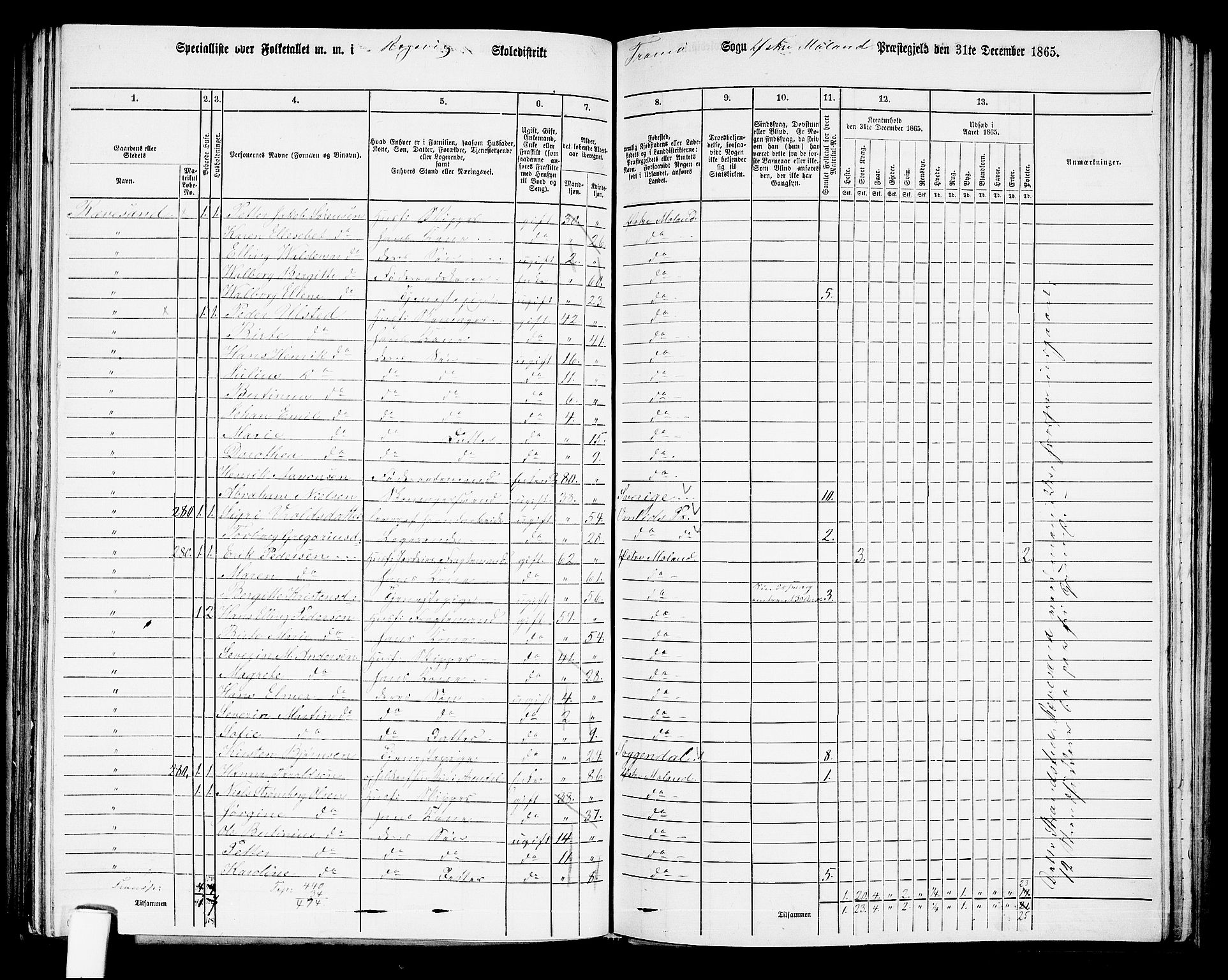 RA, Folketelling 1865 for 0918P Austre Moland prestegjeld, 1865, s. 247