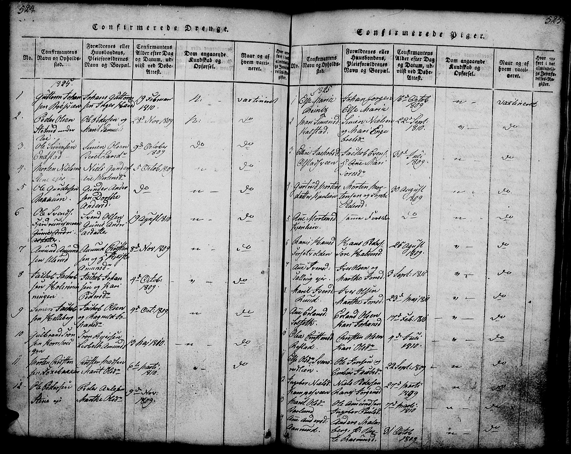 Gausdal prestekontor, SAH/PREST-090/H/Ha/Hab/L0001: Klokkerbok nr. 1, 1817-1848, s. 524-525