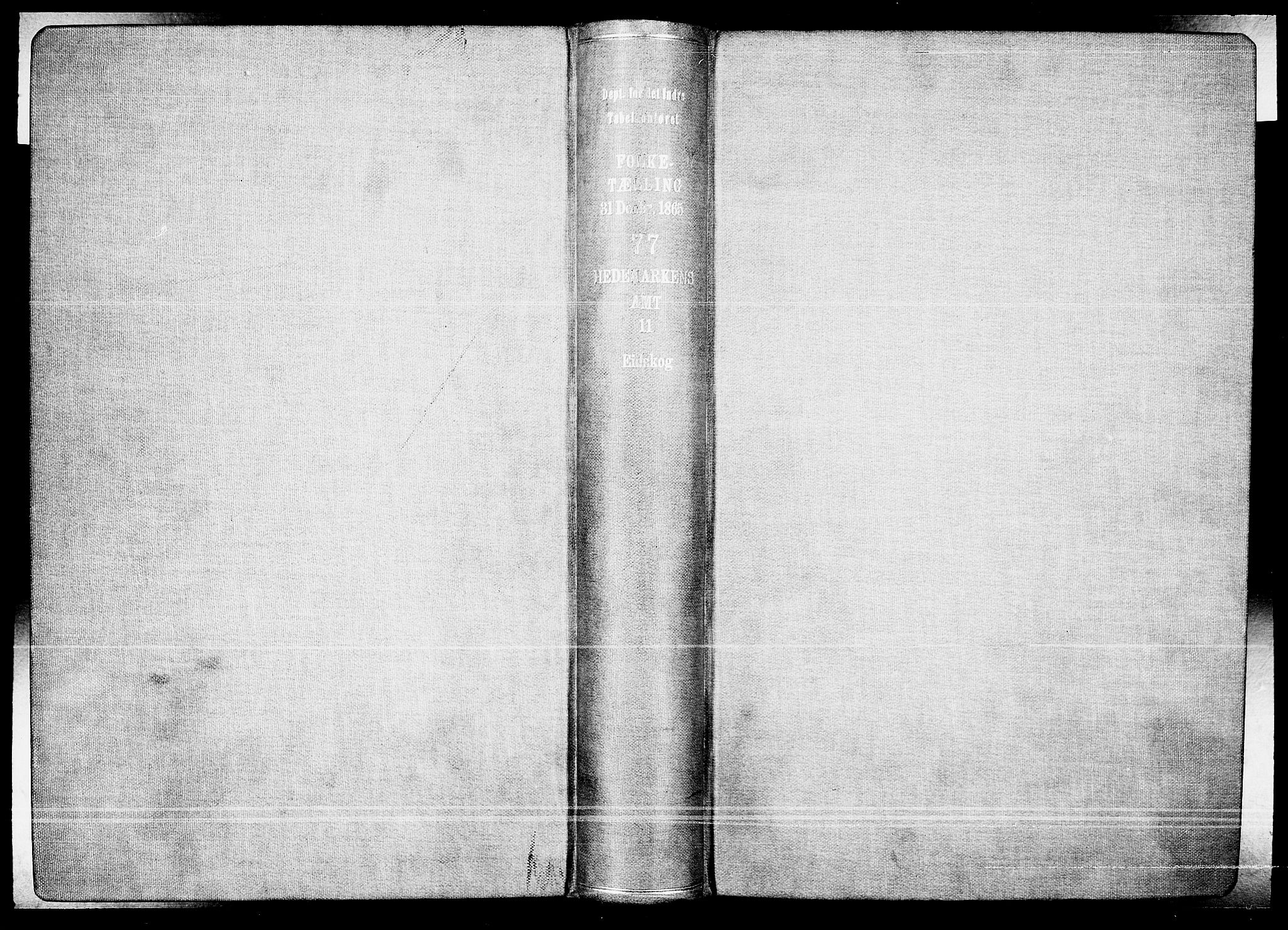 RA, Folketelling 1865 for 0420P Eidskog prestegjeld, 1865, s. 2