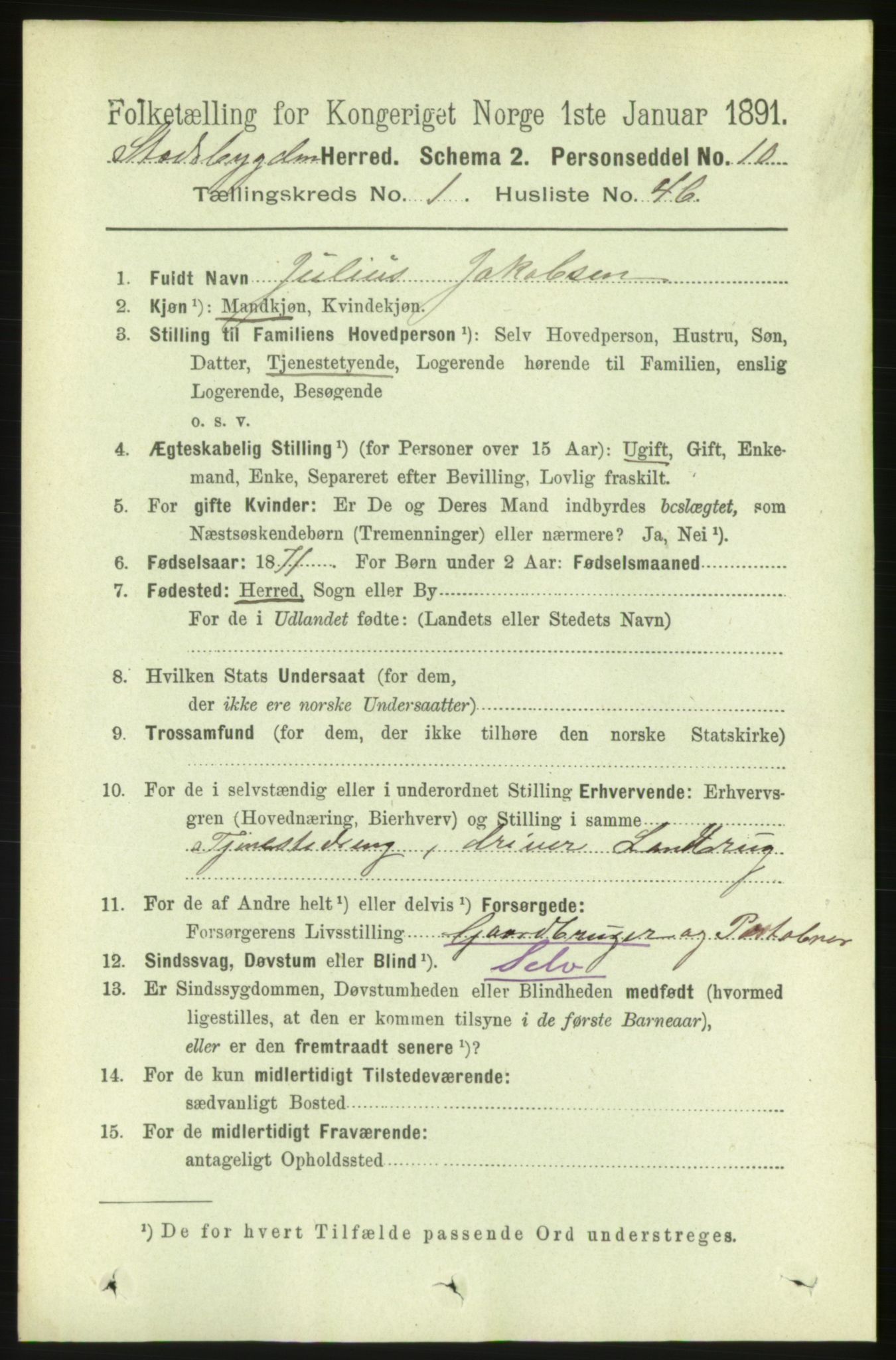 RA, Folketelling 1891 for 1625 Stadsbygd herred, 1891, s. 417