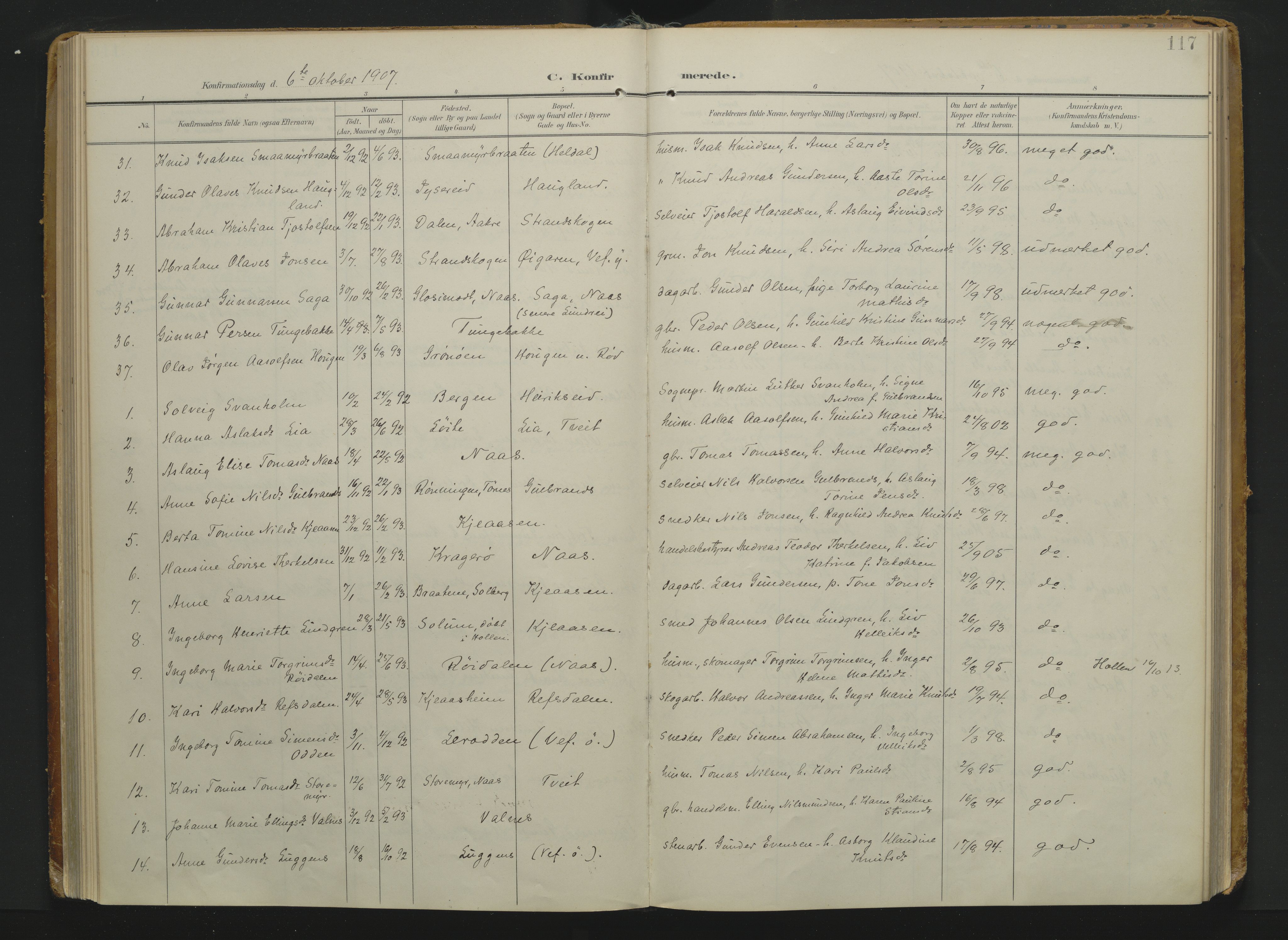 Drangedal kirkebøker, AV/SAKO-A-258/F/Fa/L0014: Ministerialbok nr. 14, 1906-1920, s. 117