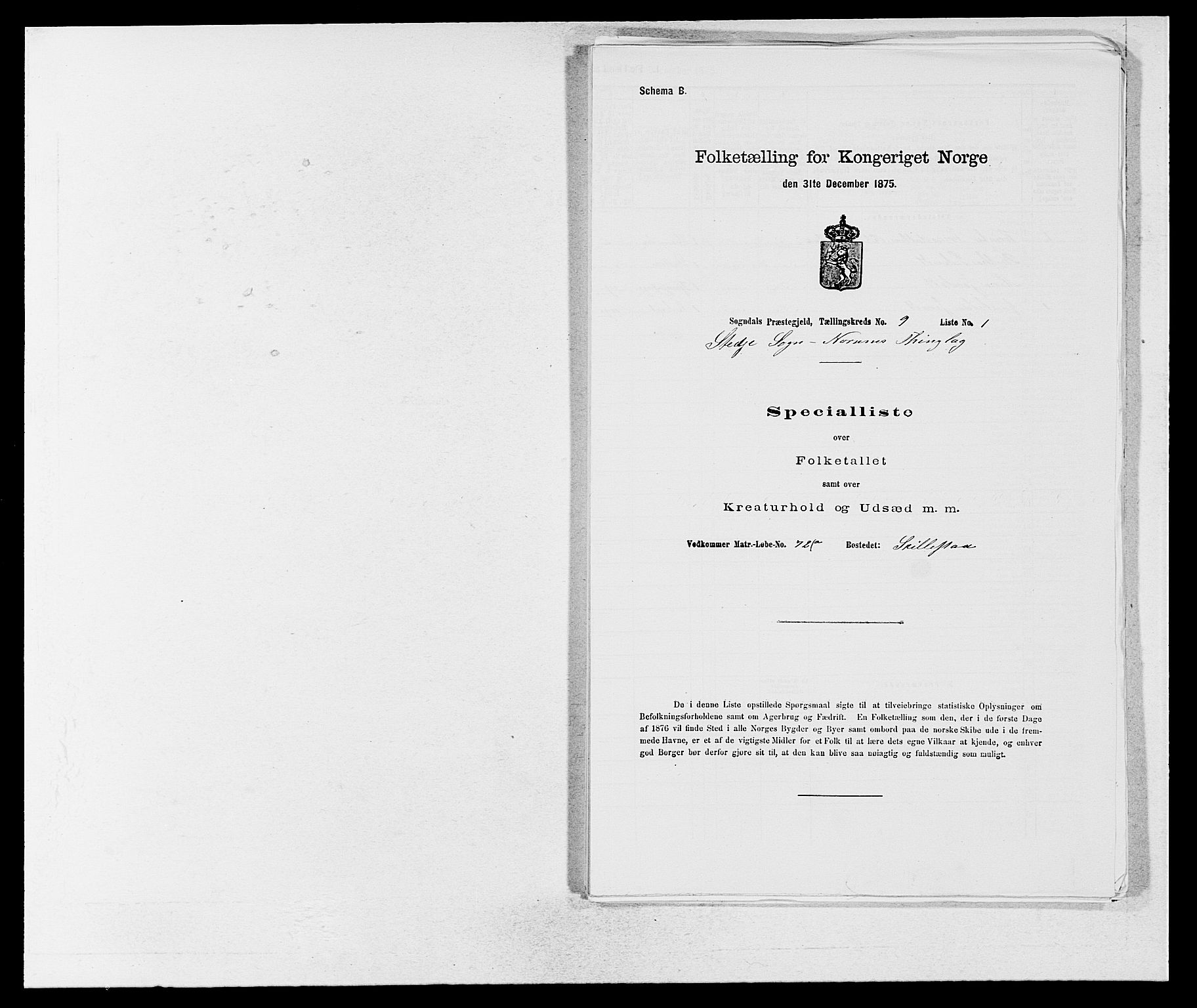 SAB, Folketelling 1875 for 1420P Sogndal prestegjeld, 1875, s. 810