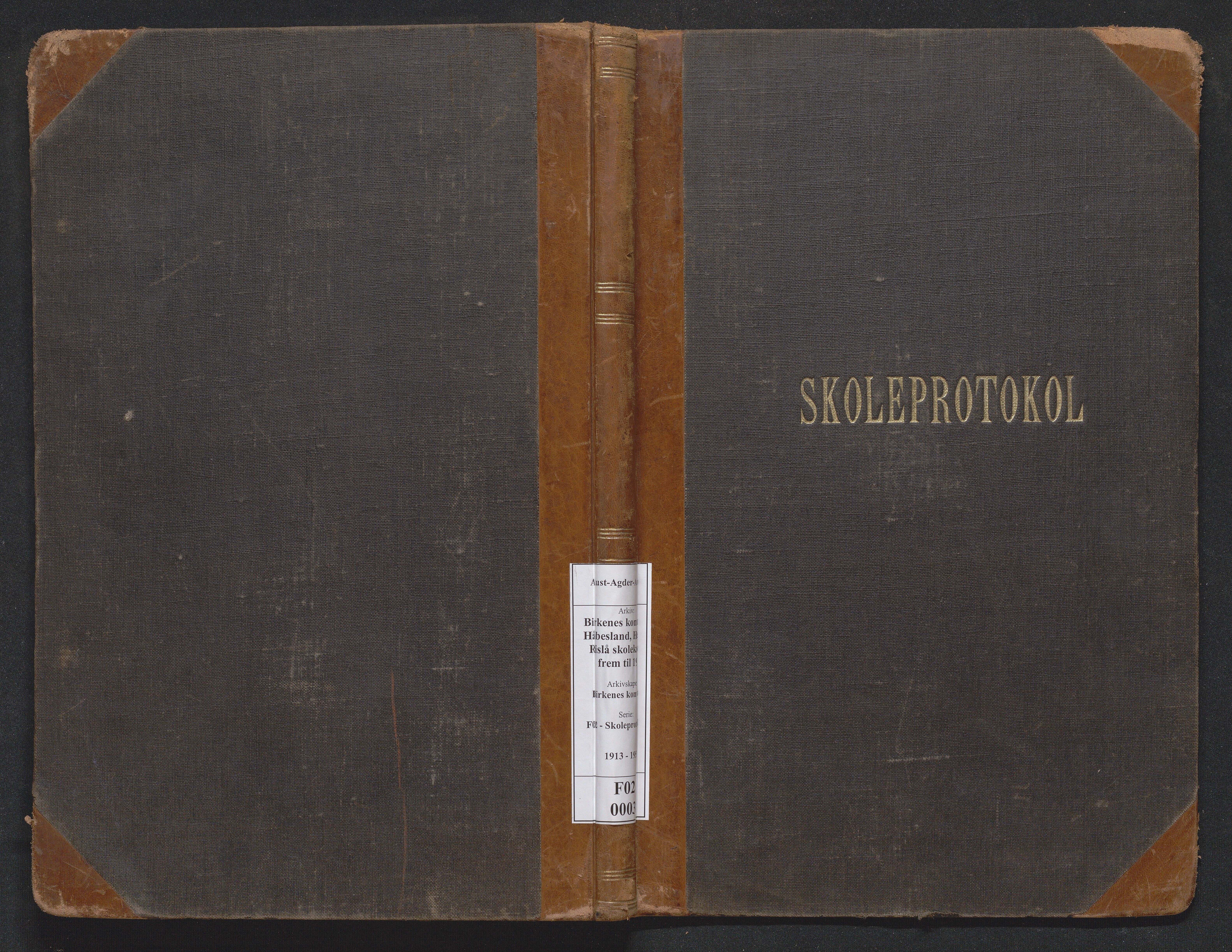 Birkenes kommune, Håbesland, Holte og Rislå skolekretser frem til 1991, AAKS/KA0928-550c_91/F02/L0003: Skoleprotokoll Håbesland og Holte, 1913-1955