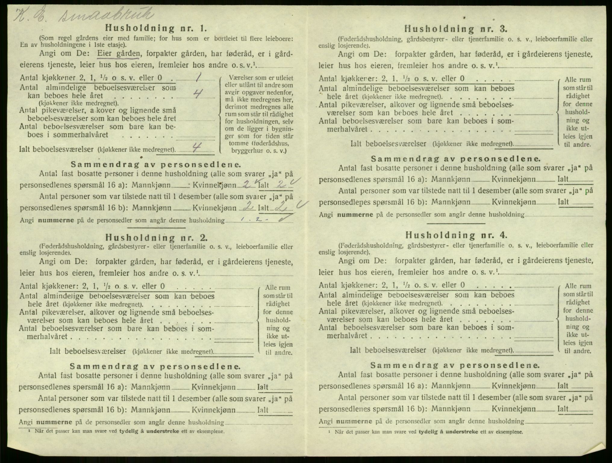 SAKO, Folketelling 1920 for 0711 Strømm herred, 1920, s. 25