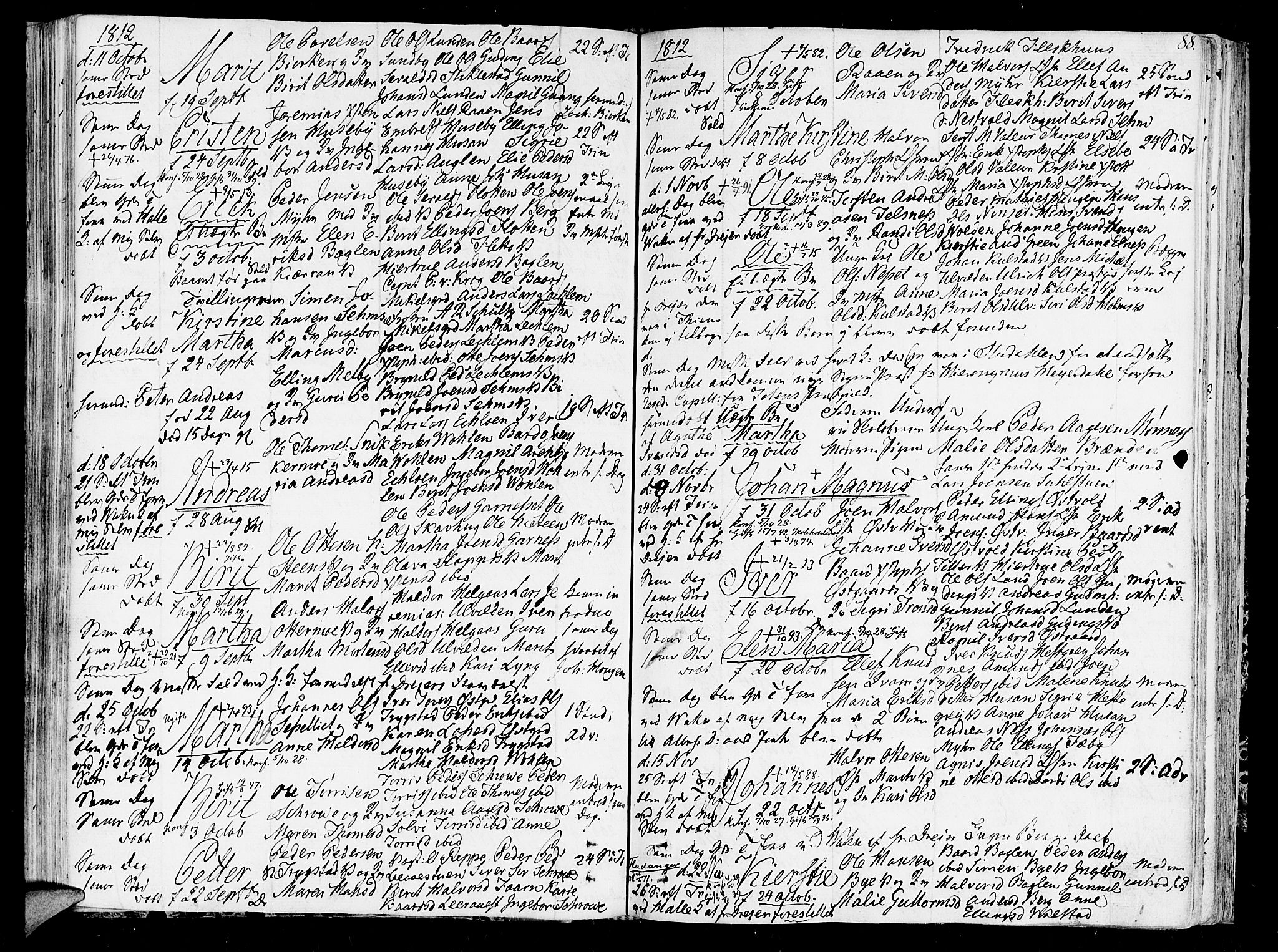 Ministerialprotokoller, klokkerbøker og fødselsregistre - Nord-Trøndelag, AV/SAT-A-1458/723/L0233: Ministerialbok nr. 723A04, 1805-1816, s. 88