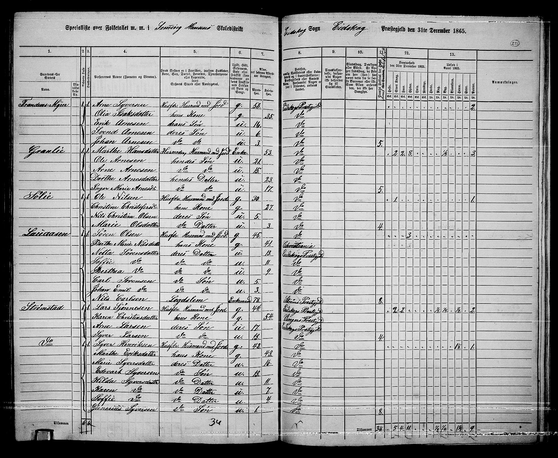 RA, Folketelling 1865 for 0420P Eidskog prestegjeld, 1865, s. 207