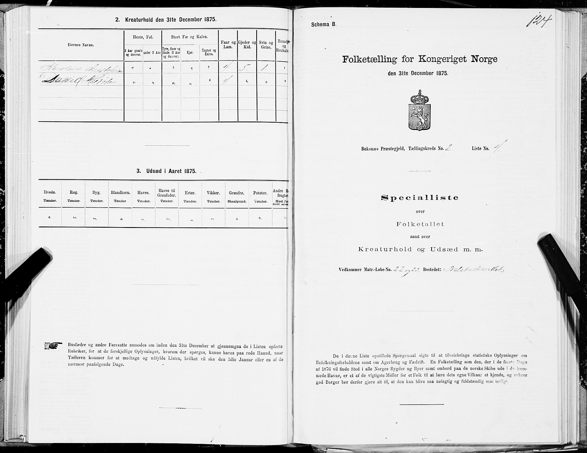 SAT, Folketelling 1875 for 1860P Buksnes prestegjeld, 1875, s. 1124