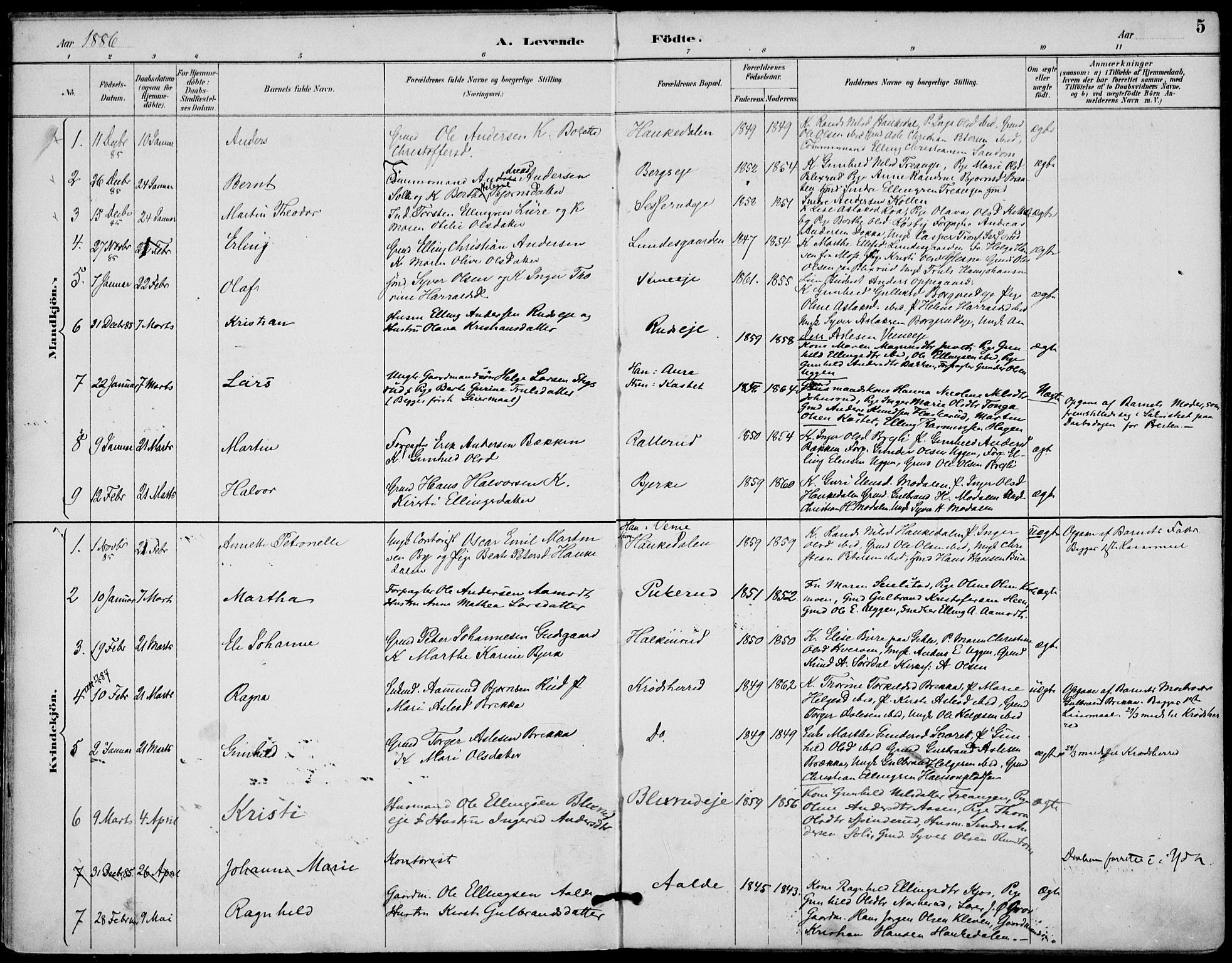 Lunder kirkebøker, AV/SAKO-A-629/F/Fa/L0001: Ministerialbok nr. I 1, 1885-1912, s. 5