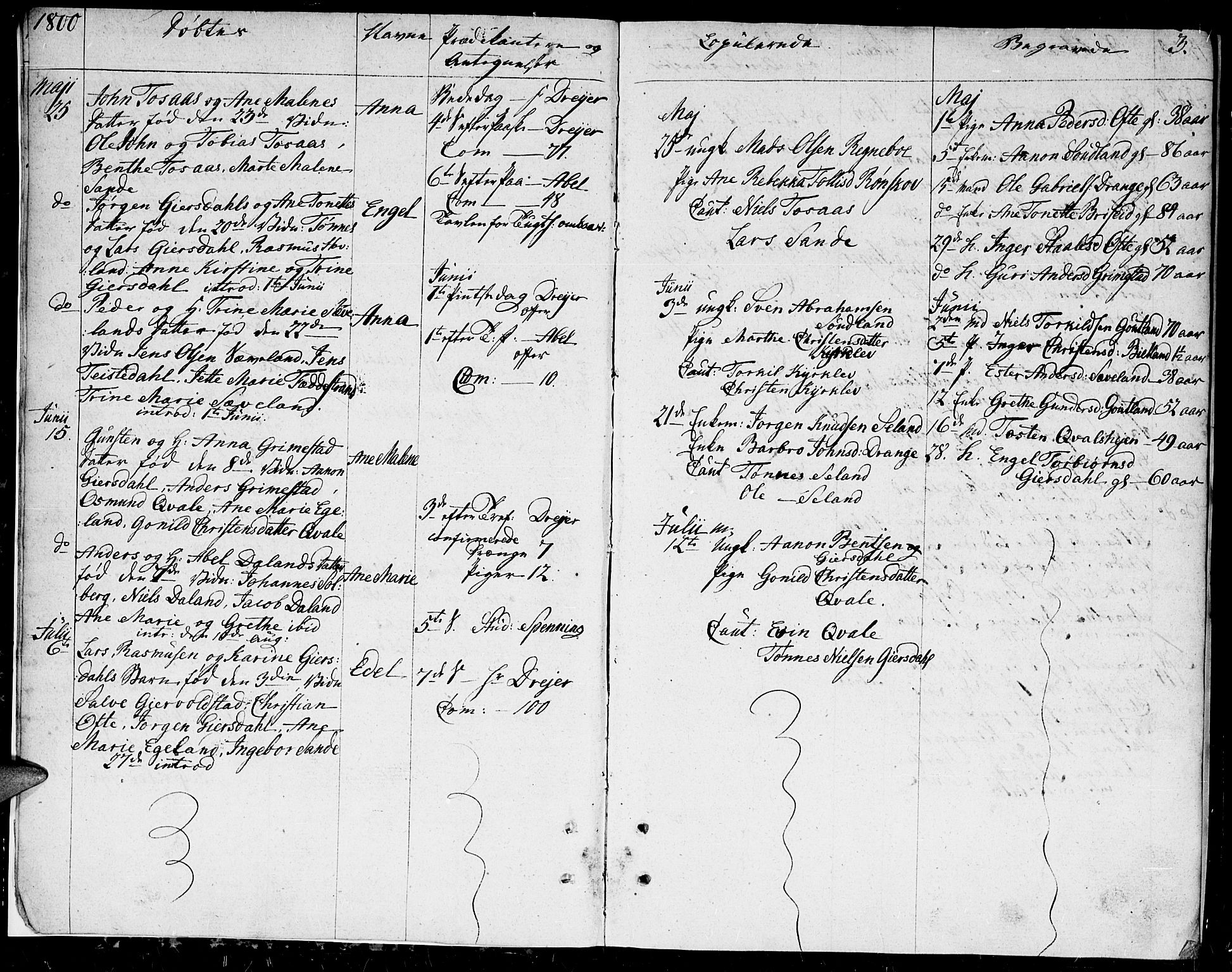 Herad sokneprestkontor, AV/SAK-1111-0018/F/Fa/Faa/L0002: Ministerialbok nr. A 2, 1800-1815, s. 3
