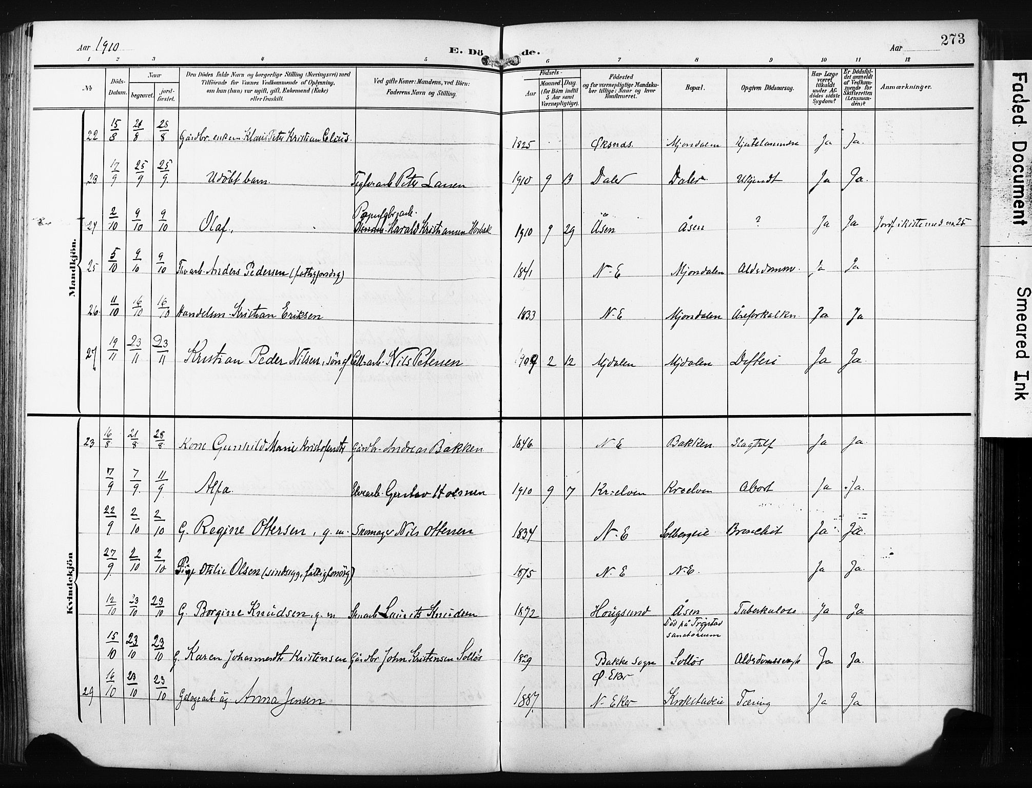 Nedre Eiker kirkebøker, AV/SAKO-A-612/F/Fa/L0006: Ministerialbok nr. 6, 1906-1912, s. 273