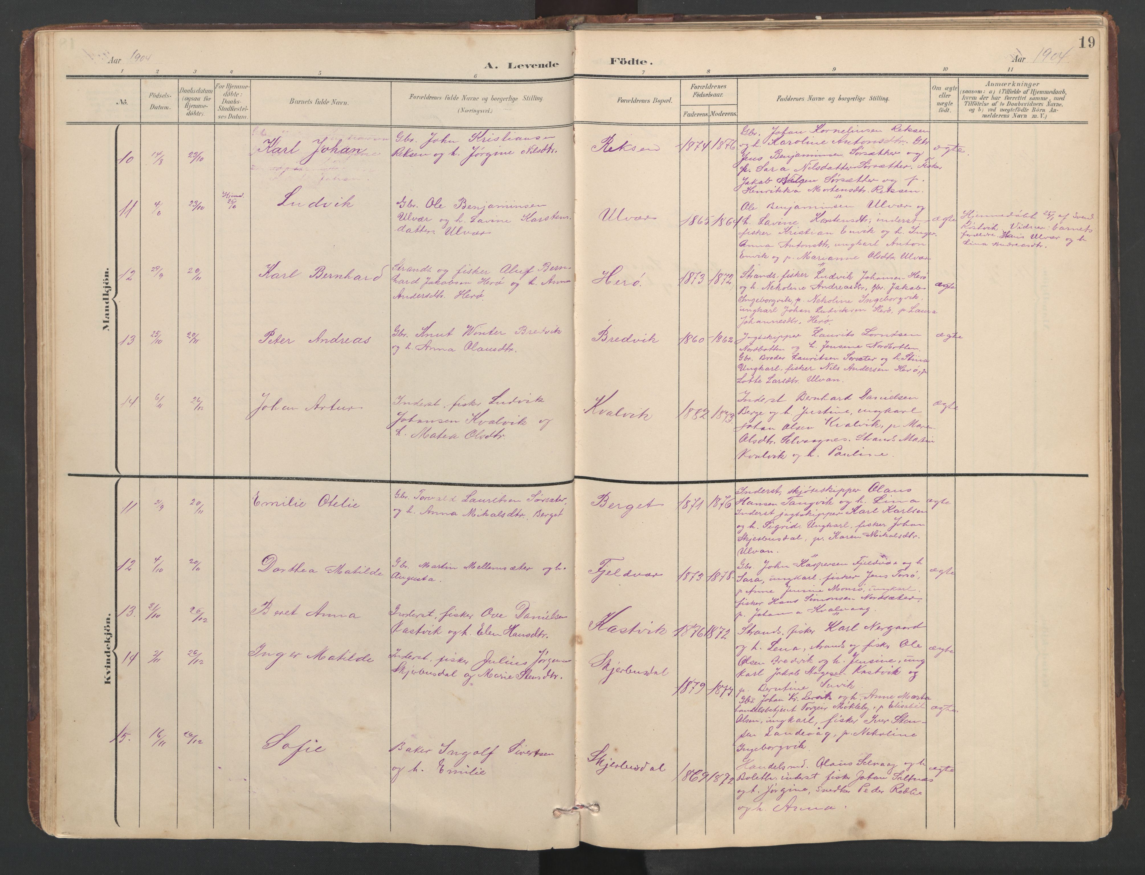 Ministerialprotokoller, klokkerbøker og fødselsregistre - Sør-Trøndelag, SAT/A-1456/638/L0571: Klokkerbok nr. 638C03, 1901-1930, s. 19