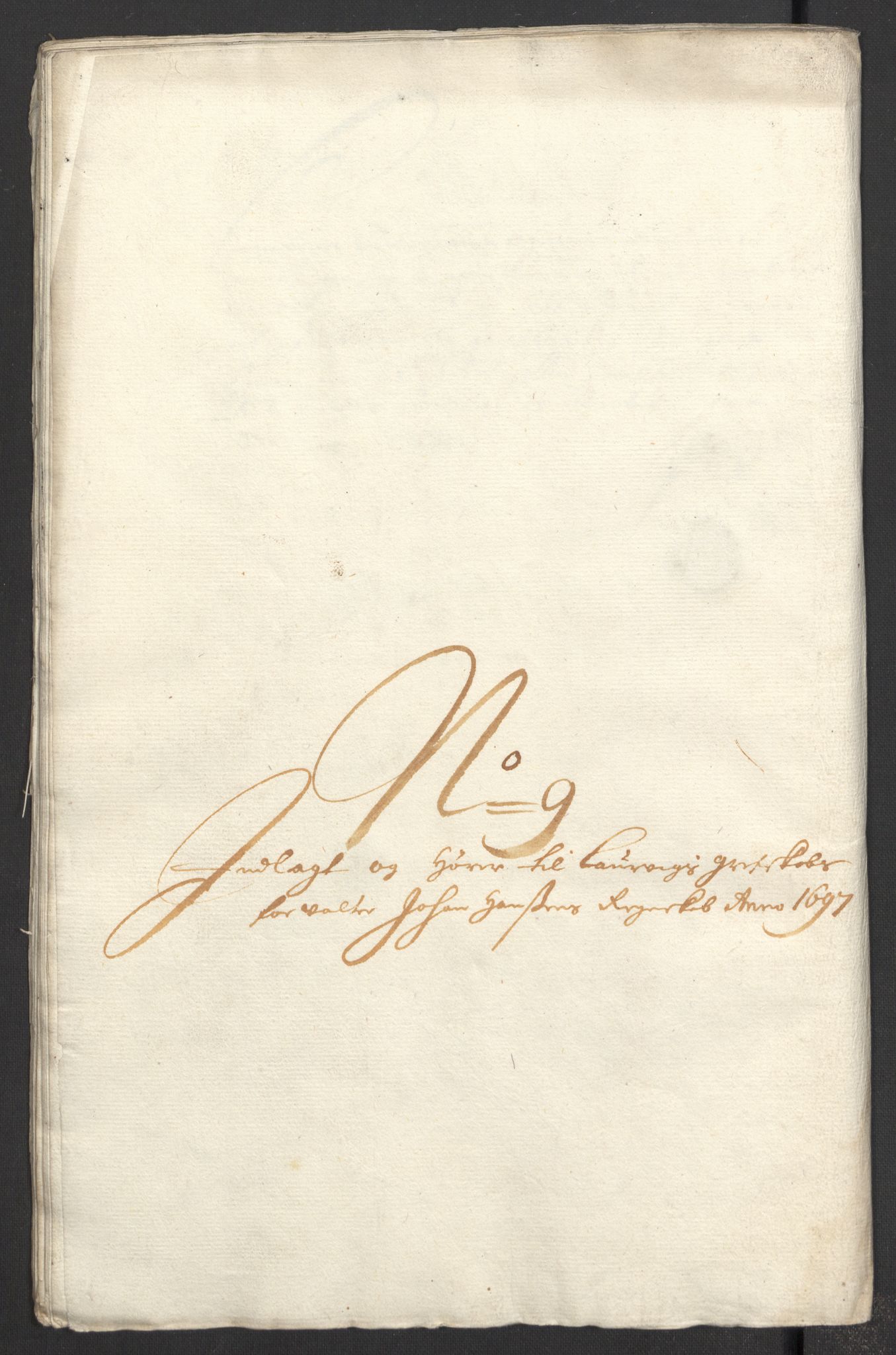 Rentekammeret inntil 1814, Reviderte regnskaper, Fogderegnskap, RA/EA-4092/R33/L1975: Fogderegnskap Larvik grevskap, 1696-1697, s. 190