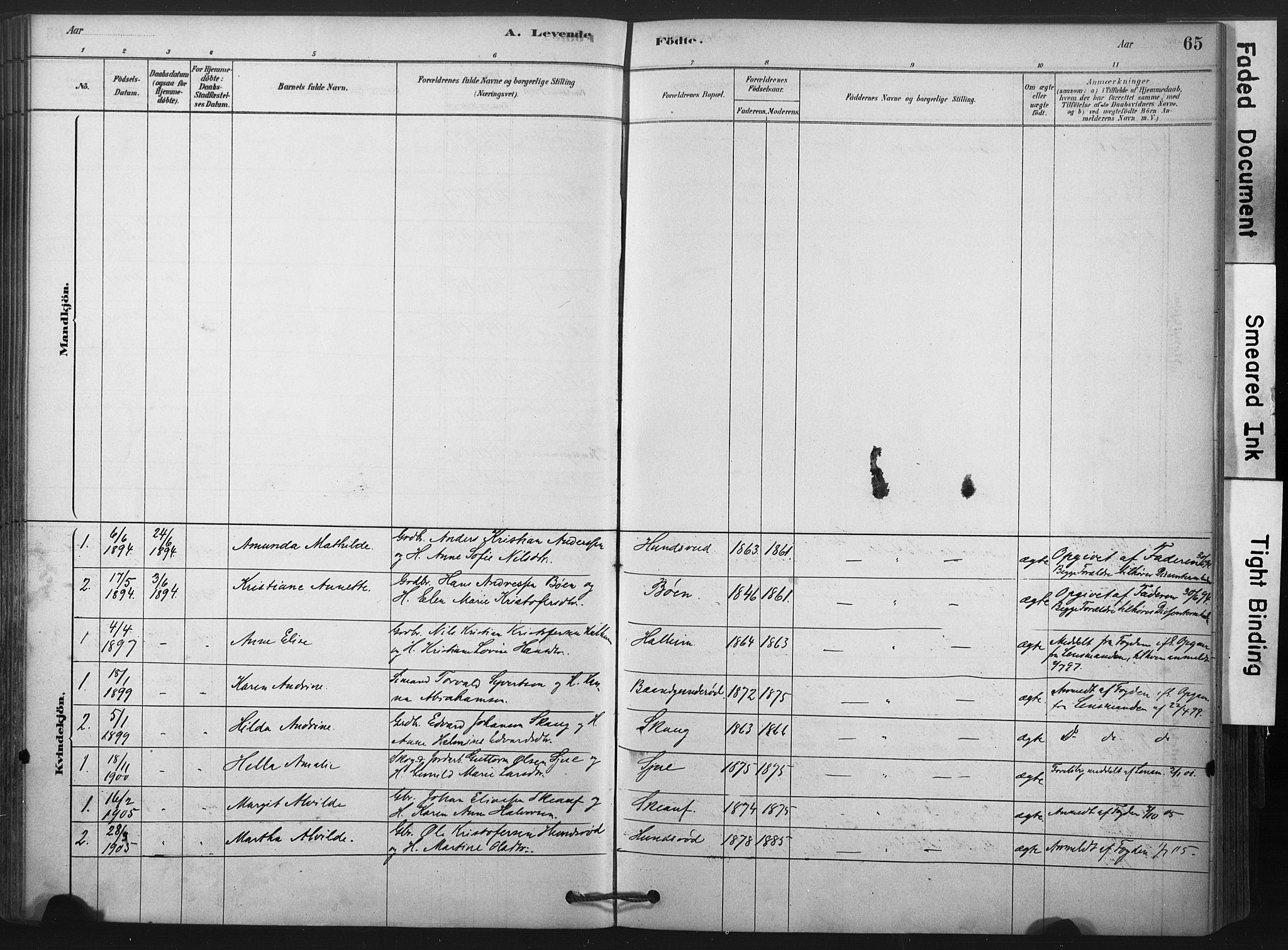 Andebu kirkebøker, AV/SAKO-A-336/F/Fb/L0001: Ministerialbok nr. II 1, 1878-1909, s. 65