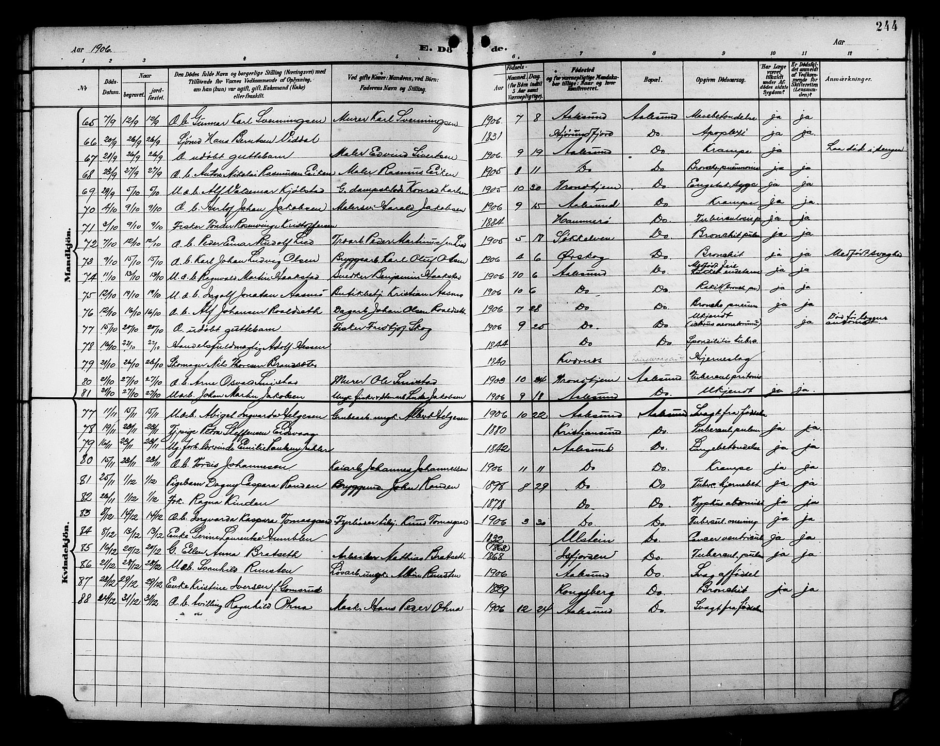 Ministerialprotokoller, klokkerbøker og fødselsregistre - Møre og Romsdal, AV/SAT-A-1454/529/L0469: Klokkerbok nr. 529C06, 1898-1906, s. 244