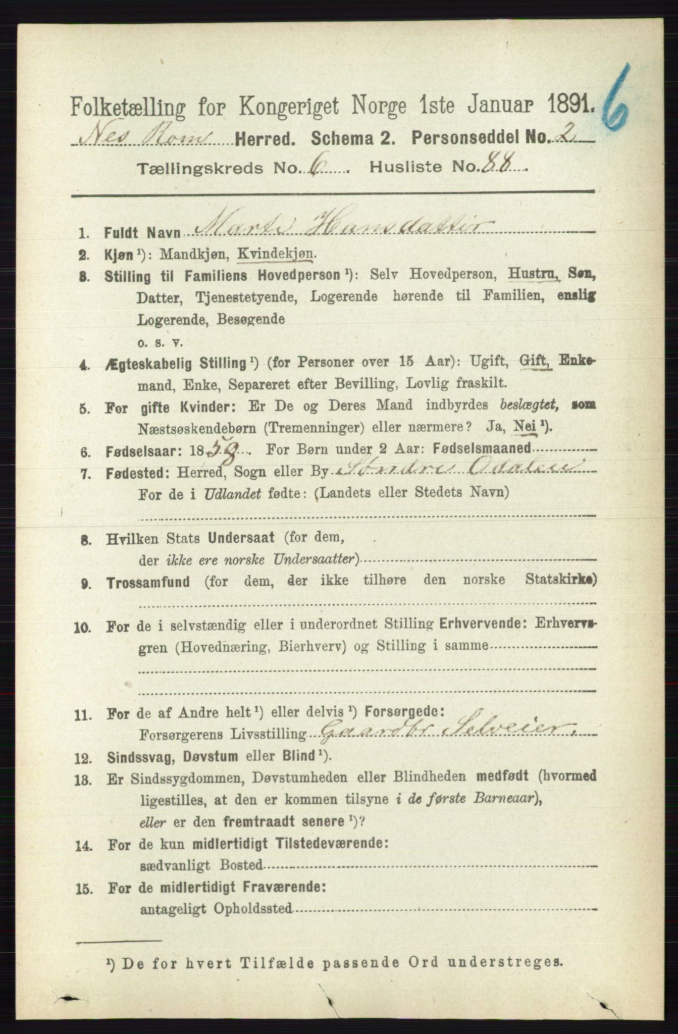 RA, Folketelling 1891 for 0236 Nes herred, 1891, s. 3923
