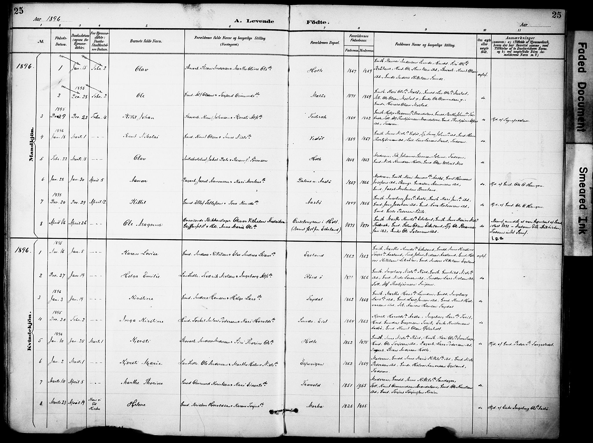 Gjerstad sokneprestkontor, AV/SAK-1111-0014/F/Fa/Faa/L0010: Ministerialbok nr. A 10, 1891-1902, s. 25