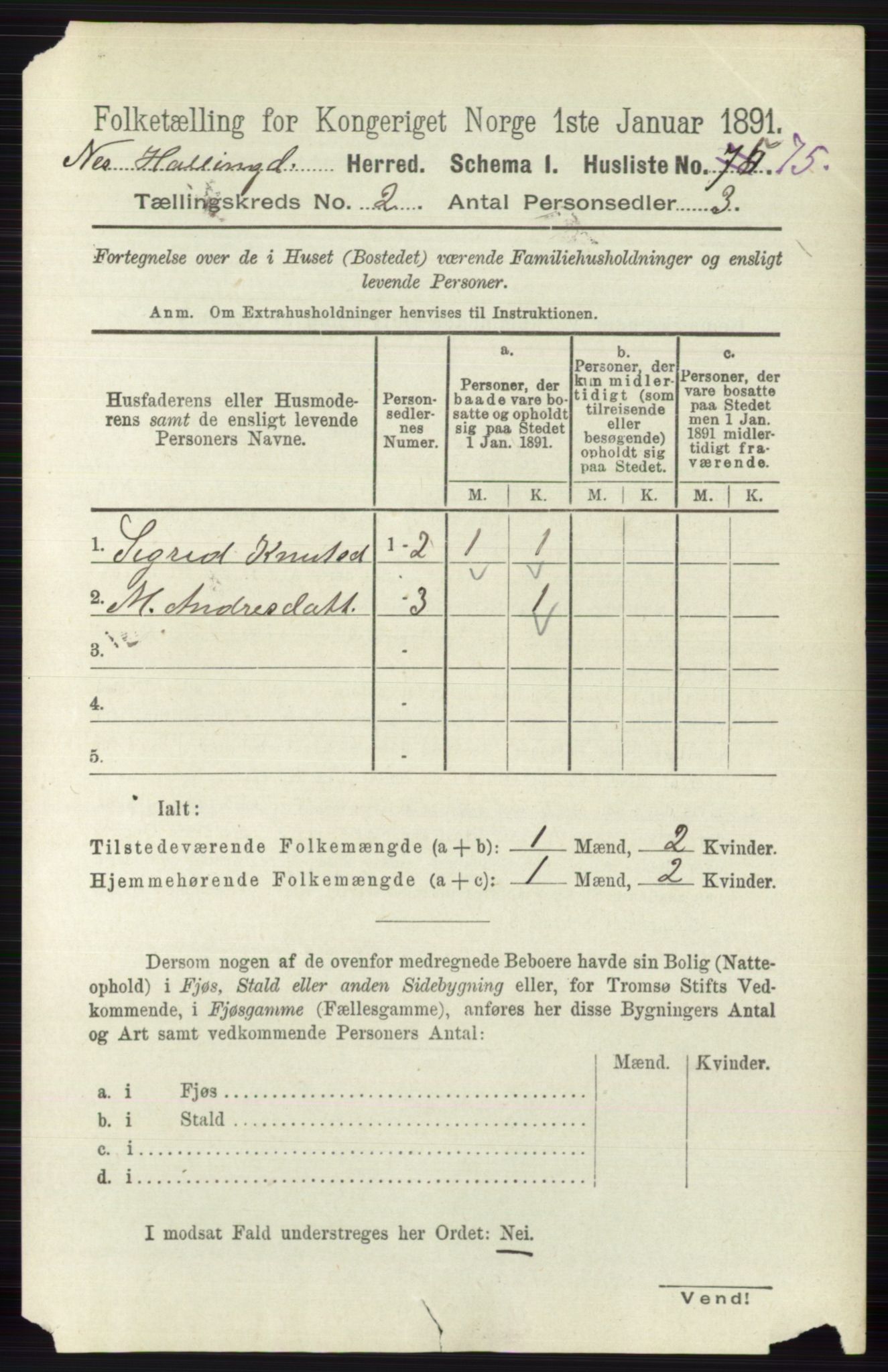 RA, Folketelling 1891 for 0616 Nes herred, 1891, s. 985