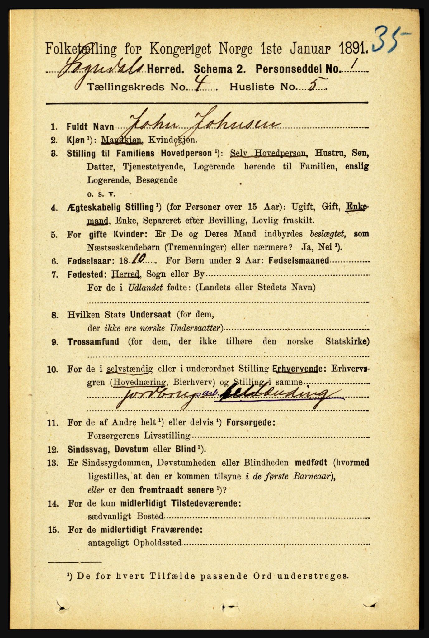 RA, Folketelling 1891 for 1420 Sogndal herred, 1891, s. 1919