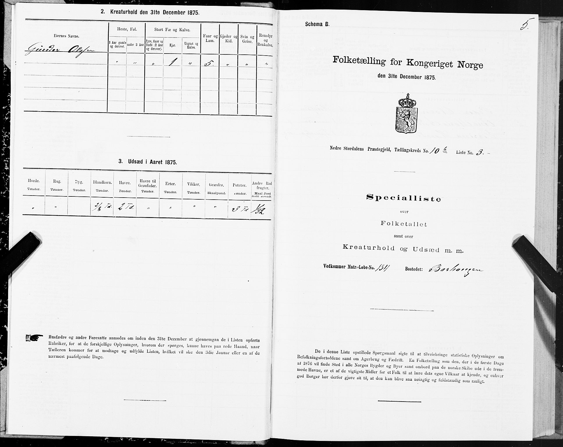 SAT, Folketelling 1875 for 1714P Nedre Stjørdal prestegjeld, 1875, s. 5005