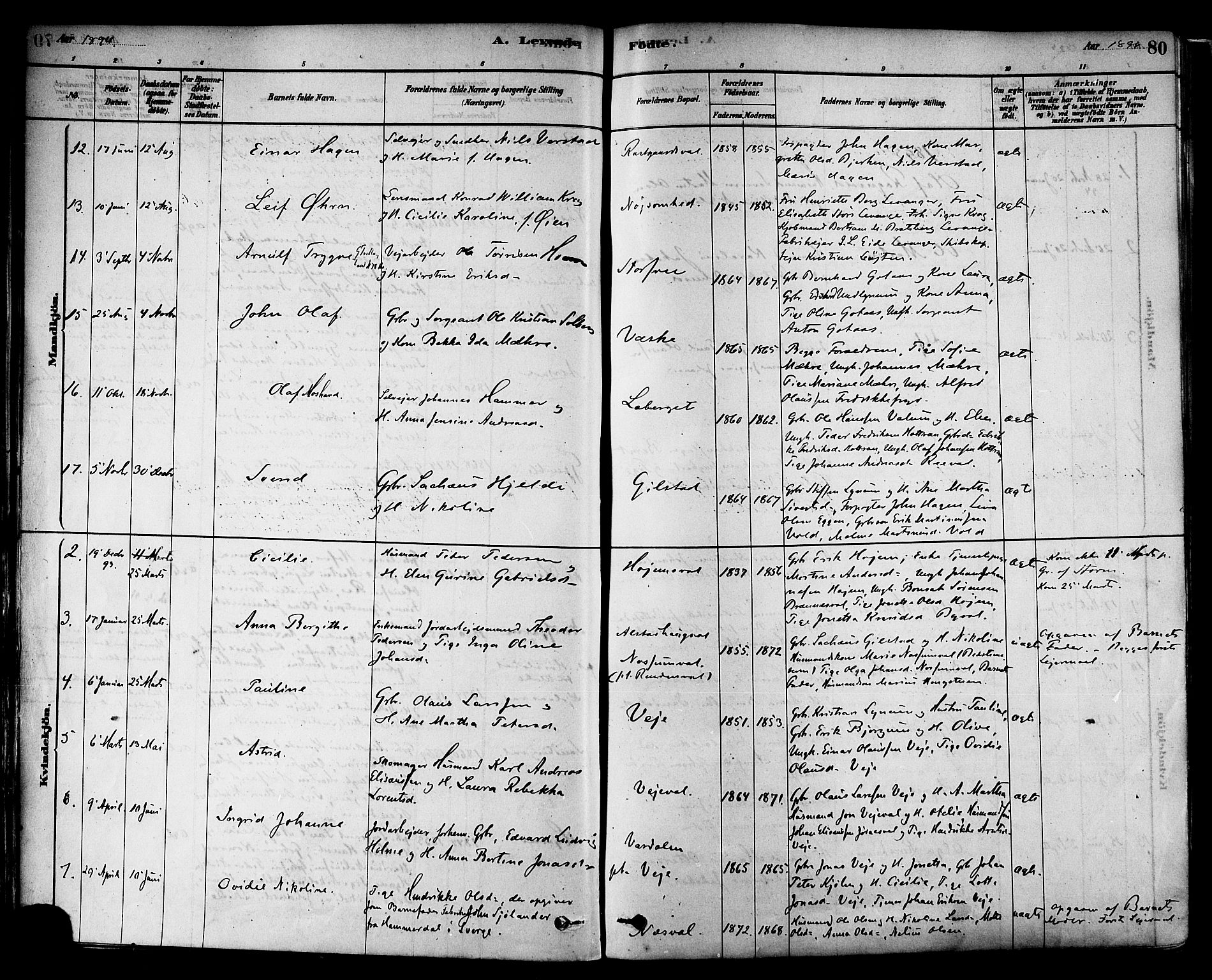 Ministerialprotokoller, klokkerbøker og fødselsregistre - Nord-Trøndelag, SAT/A-1458/717/L0159: Ministerialbok nr. 717A09, 1878-1898, s. 80