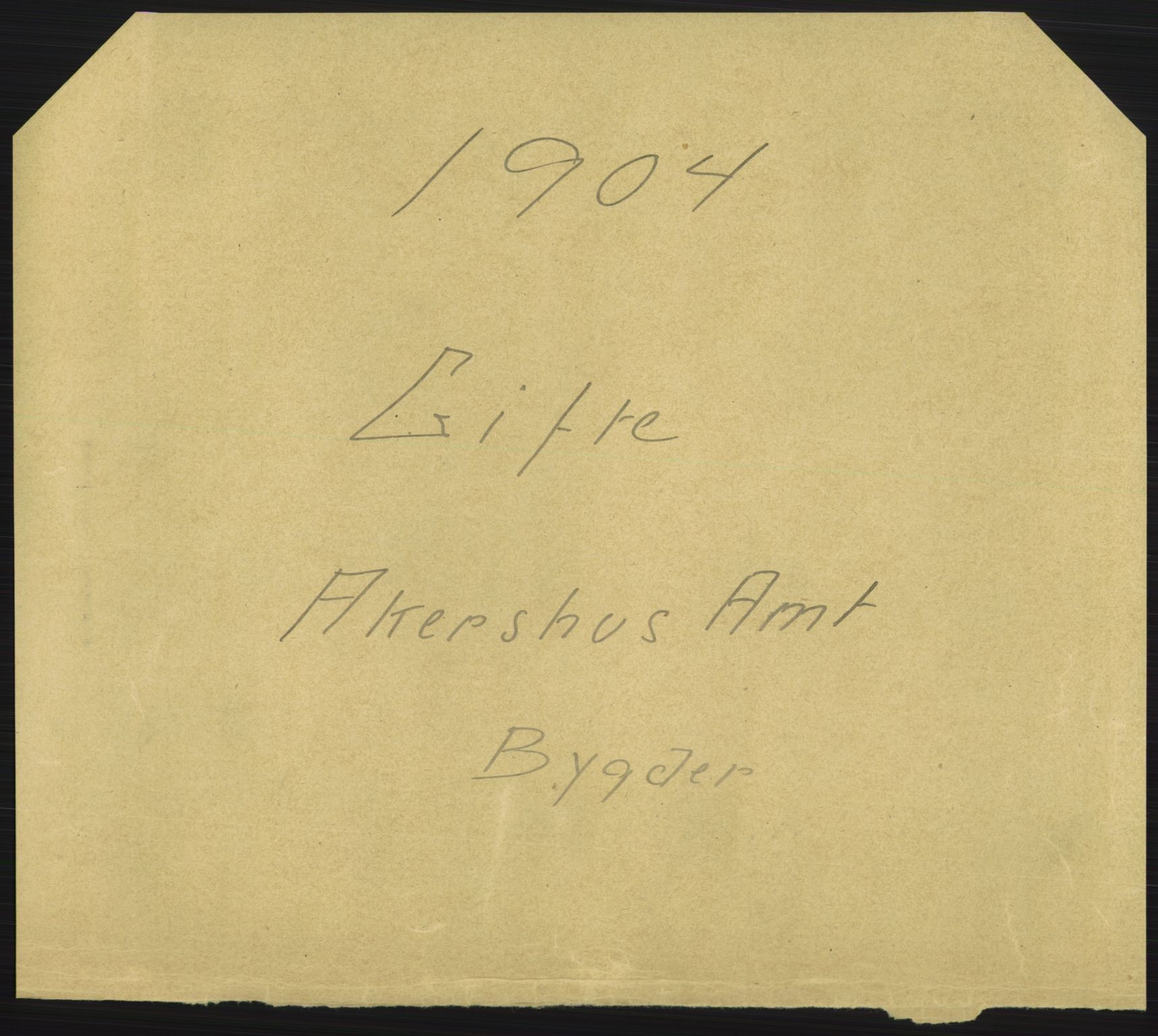 Statistisk sentralbyrå, Sosiodemografiske emner, Befolkning, AV/RA-S-2228/D/Df/Dfa/Dfab/L0002: Akershus amt: Fødte, gifte, døde, 1904, s. 445