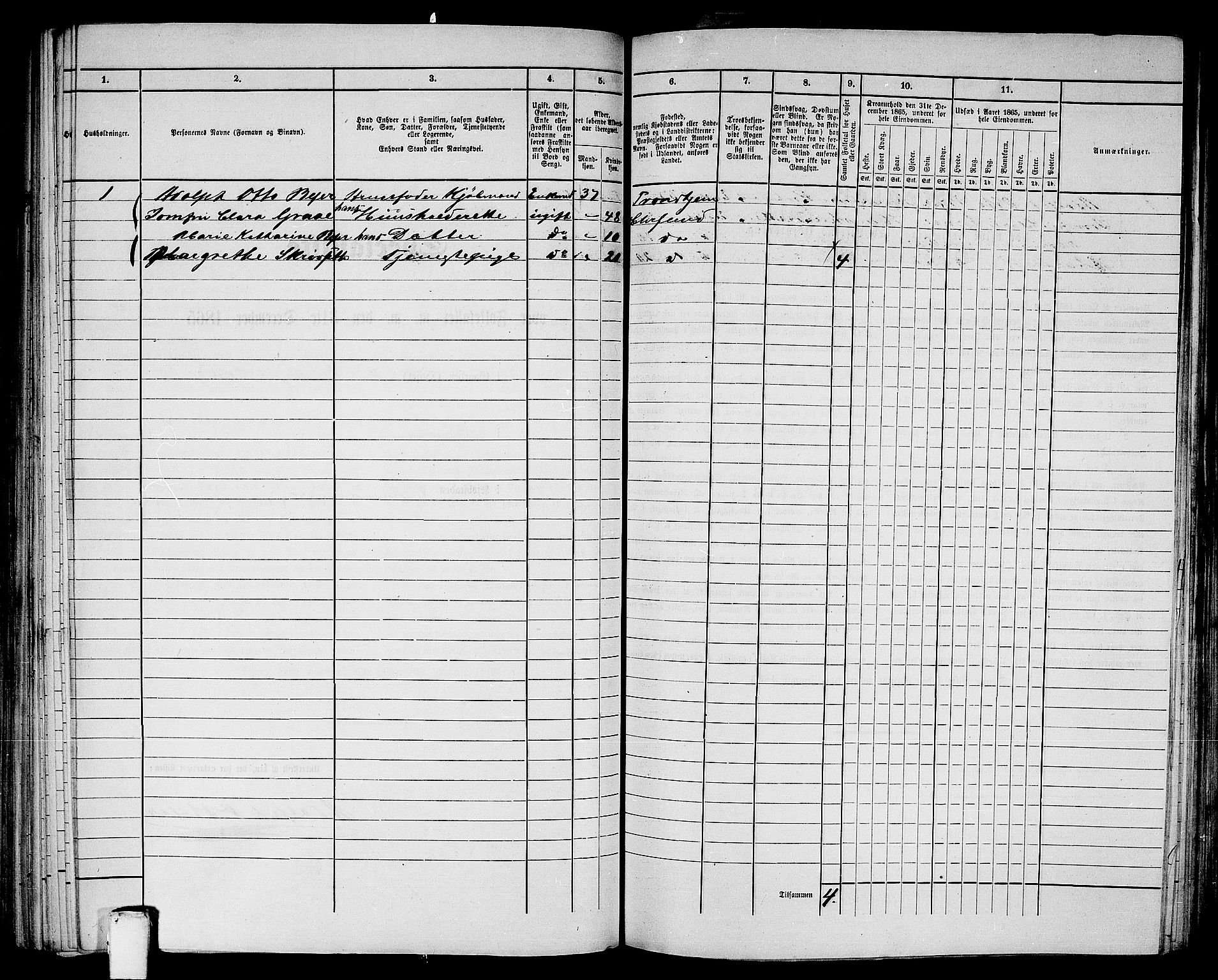 RA, Folketelling 1865 for 1503B Kristiansund prestegjeld, Kristiansund kjøpstad, 1865, s. 209