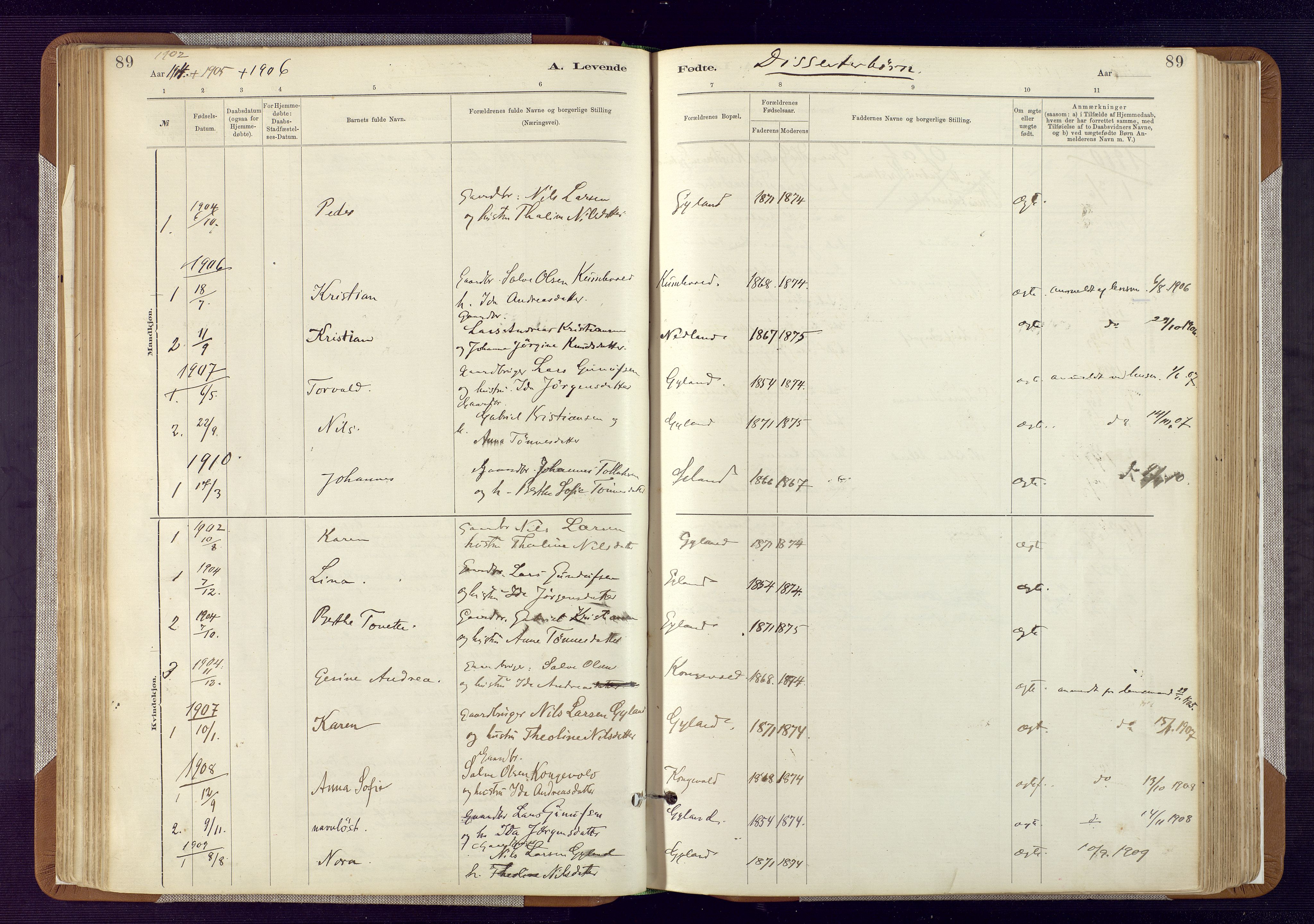 Bakke sokneprestkontor, AV/SAK-1111-0002/F/Fa/Fab/L0003: Ministerialbok nr. A 3, 1884-1921, s. 89