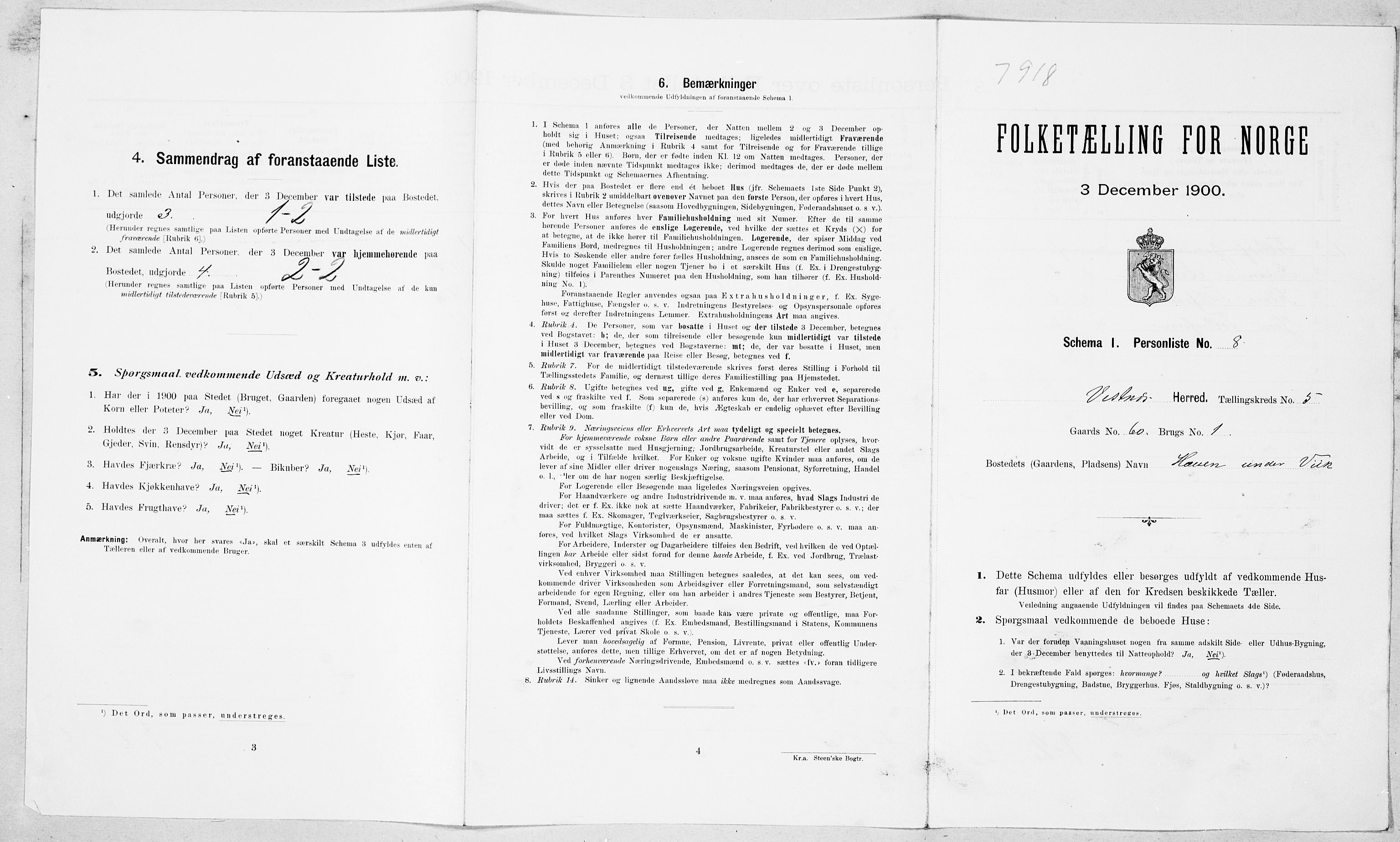 SAT, Folketelling 1900 for 1535 Vestnes herred, 1900, s. 521