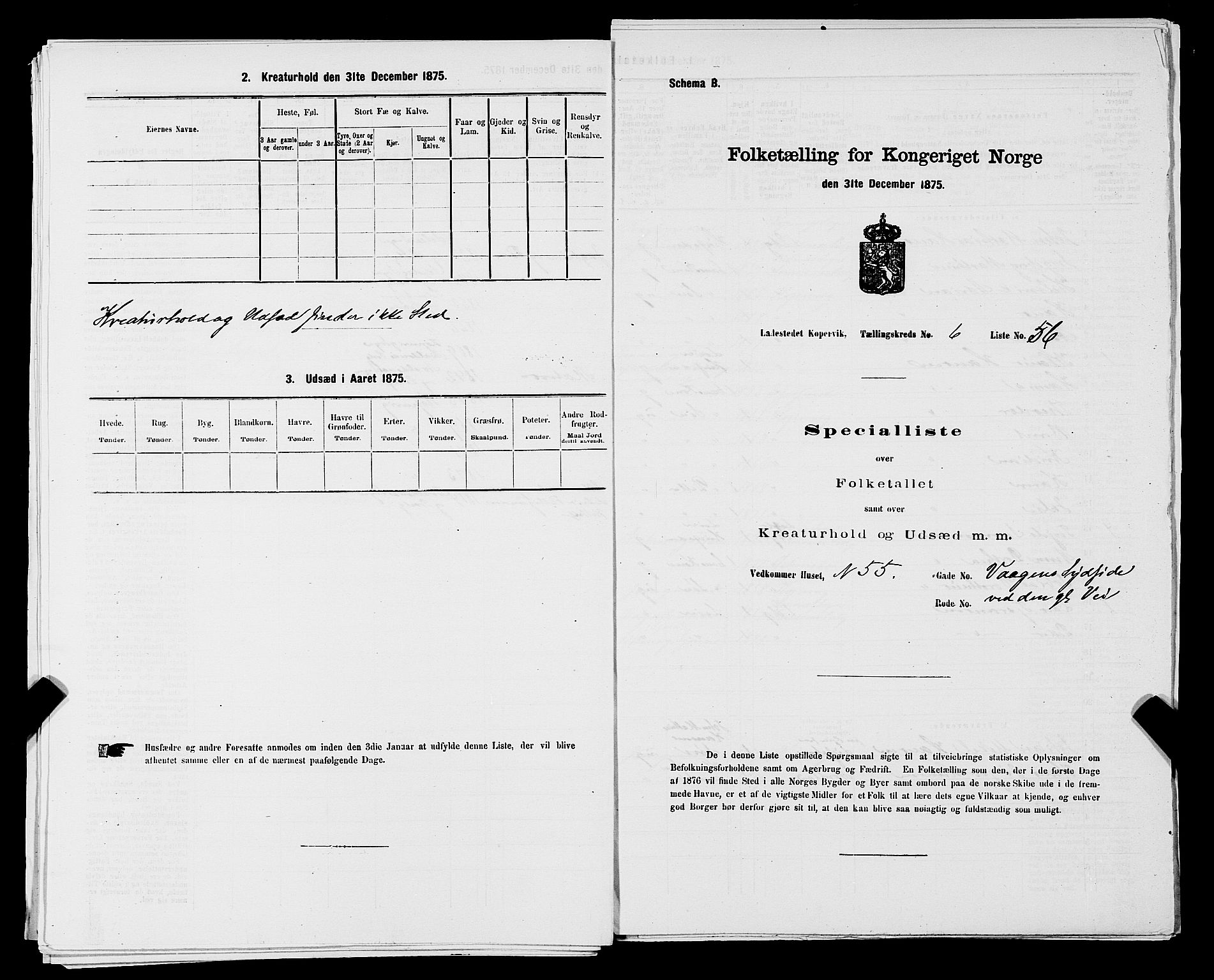 SAST, Folketelling 1875 for 1105B Avaldsnes prestegjeld, Kopervik ladested, 1875, s. 110