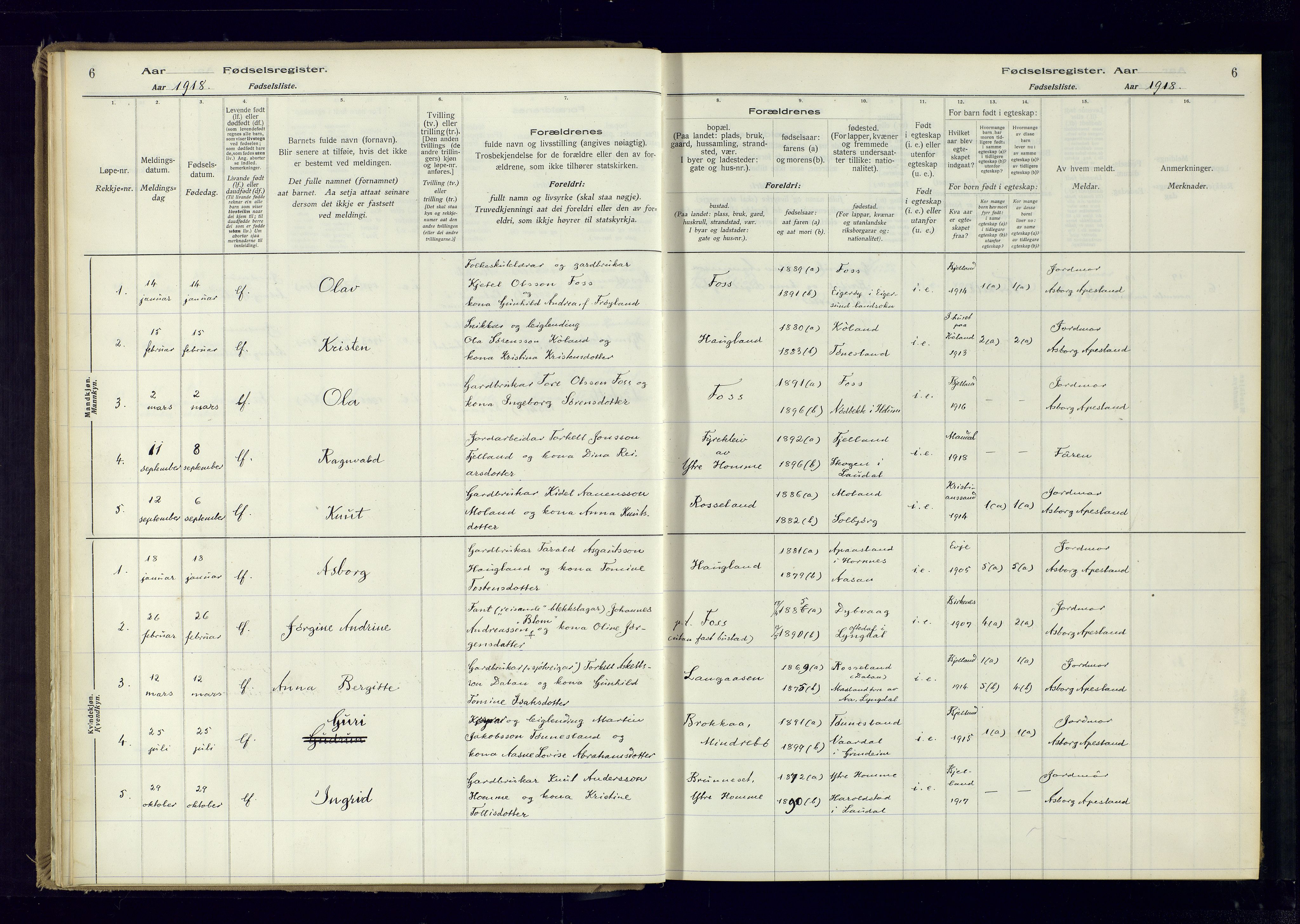 Bjelland sokneprestkontor, SAK/1111-0005/J/Ja/L0001: Fødselsregister nr. II.4.2, 1916-1982, s. 6