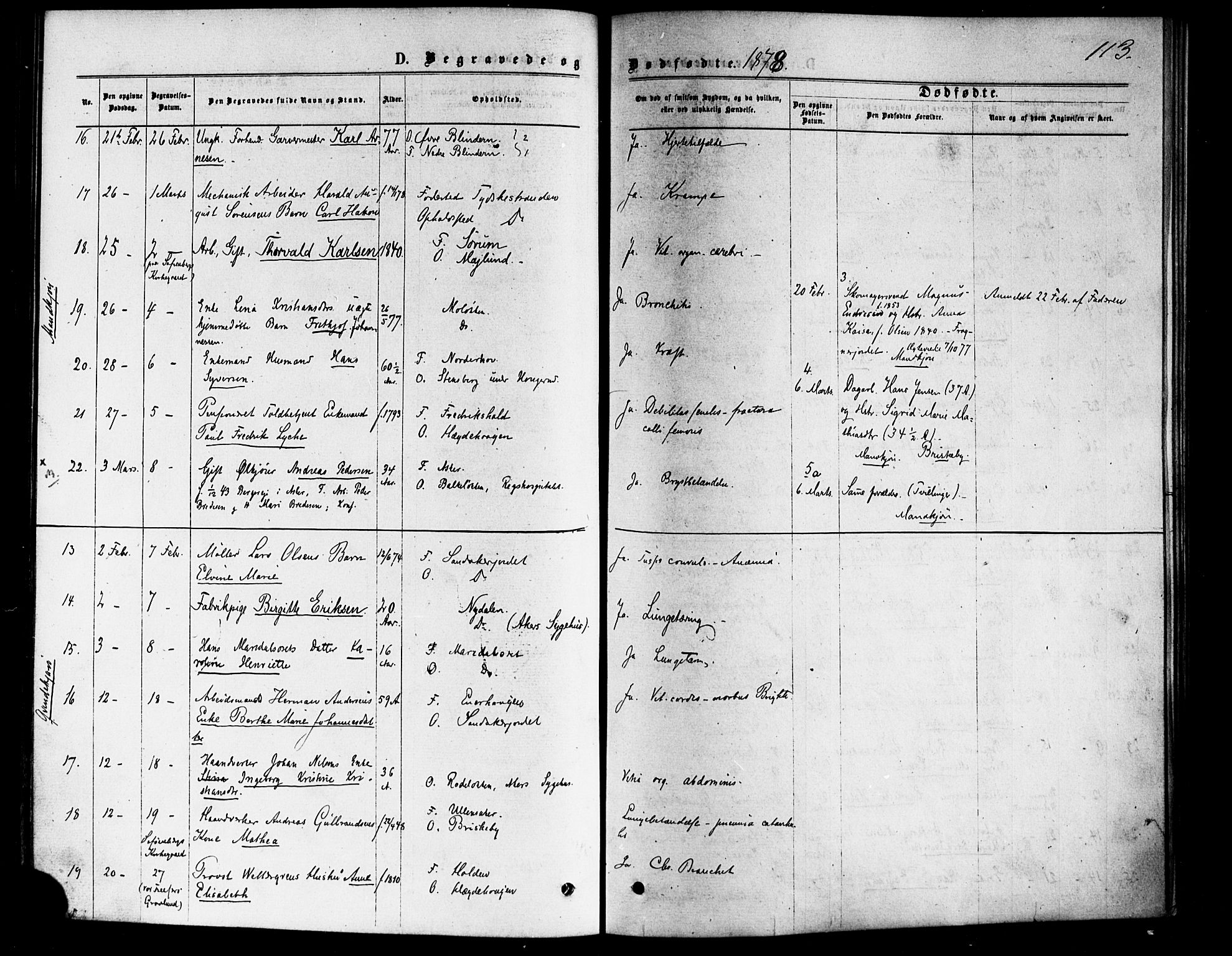 Vestre Aker prestekontor Kirkebøker, AV/SAO-A-10025/F/Fa/L0006: Ministerialbok nr. 6, 1873-1886, s. 113