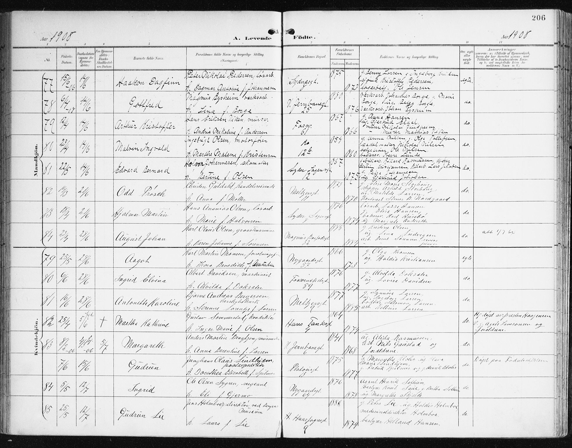Johanneskirken sokneprestembete, AV/SAB-A-76001/H/Haa/L0002: Ministerialbok nr. A 2, 1900-1912, s. 206