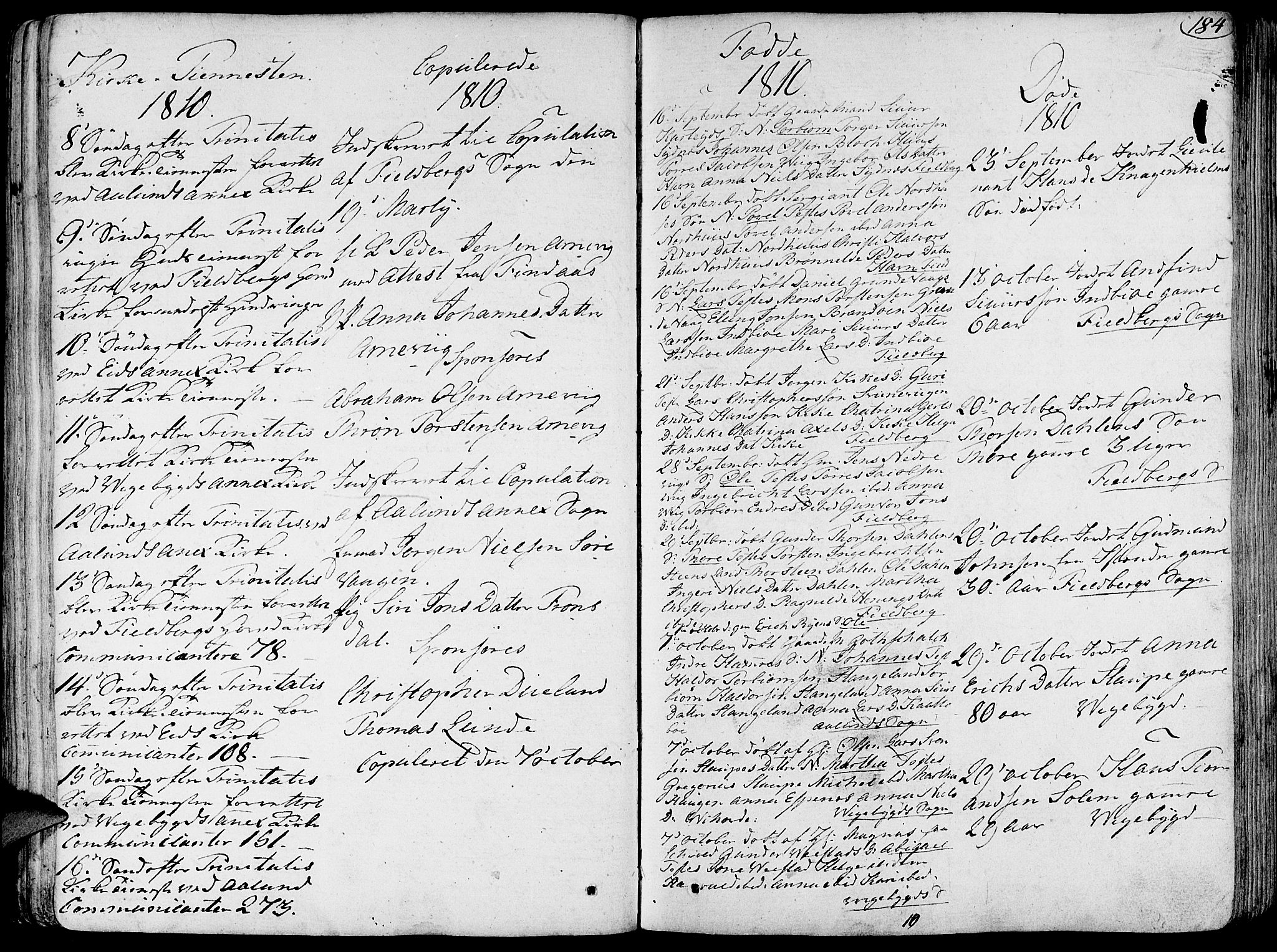 Fjelberg sokneprestembete, SAB/A-75201/H/Haa: Ministerialbok nr. A 3, 1788-1815, s. 184
