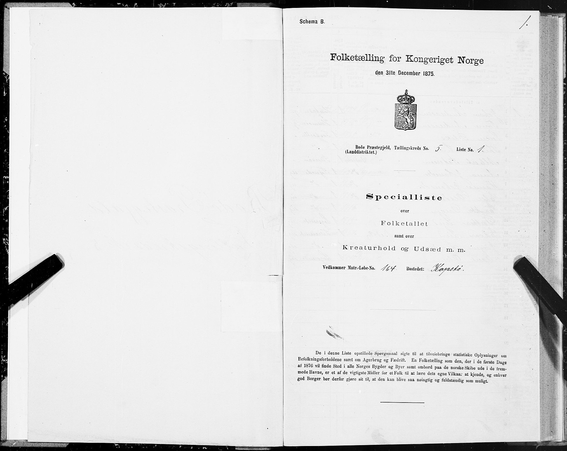 SAT, Folketelling 1875 for 1843L Bodø prestegjeld, Bodø landsokn, 1875, s. 3001