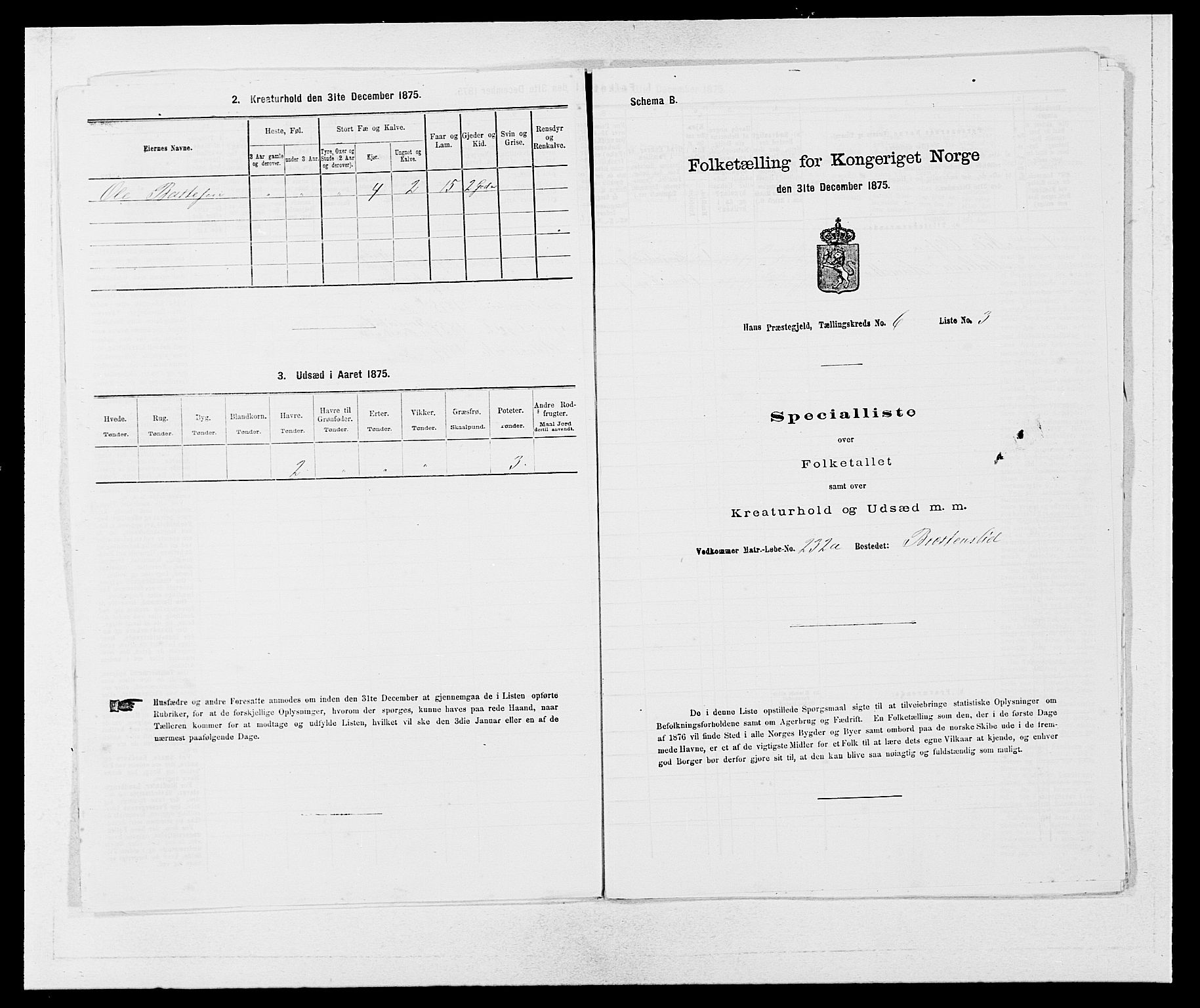 SAB, Folketelling 1875 for 1250P Haus prestegjeld, 1875, s. 706