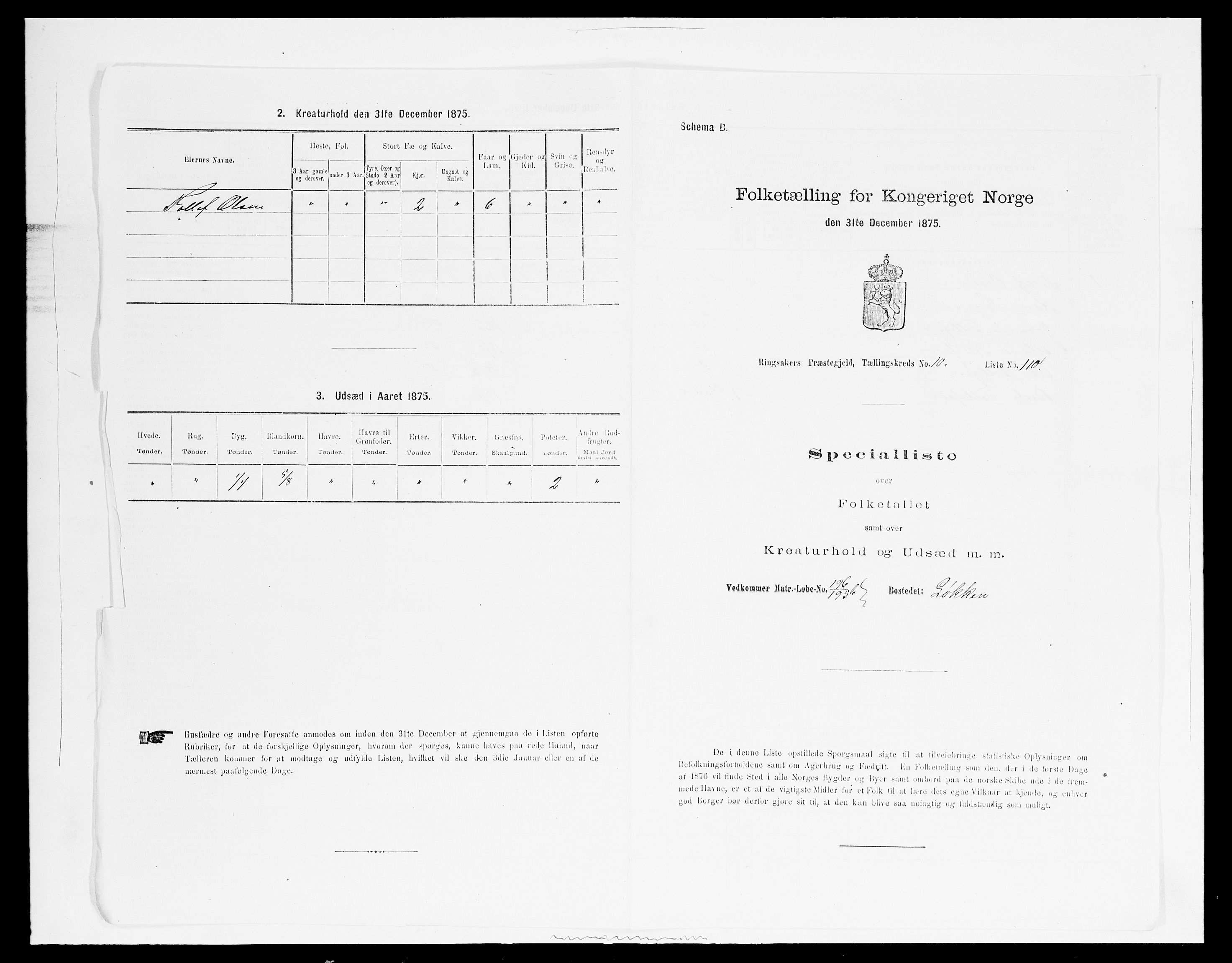 SAH, Folketelling 1875 for 0412P Ringsaker prestegjeld, 1875, s. 2152